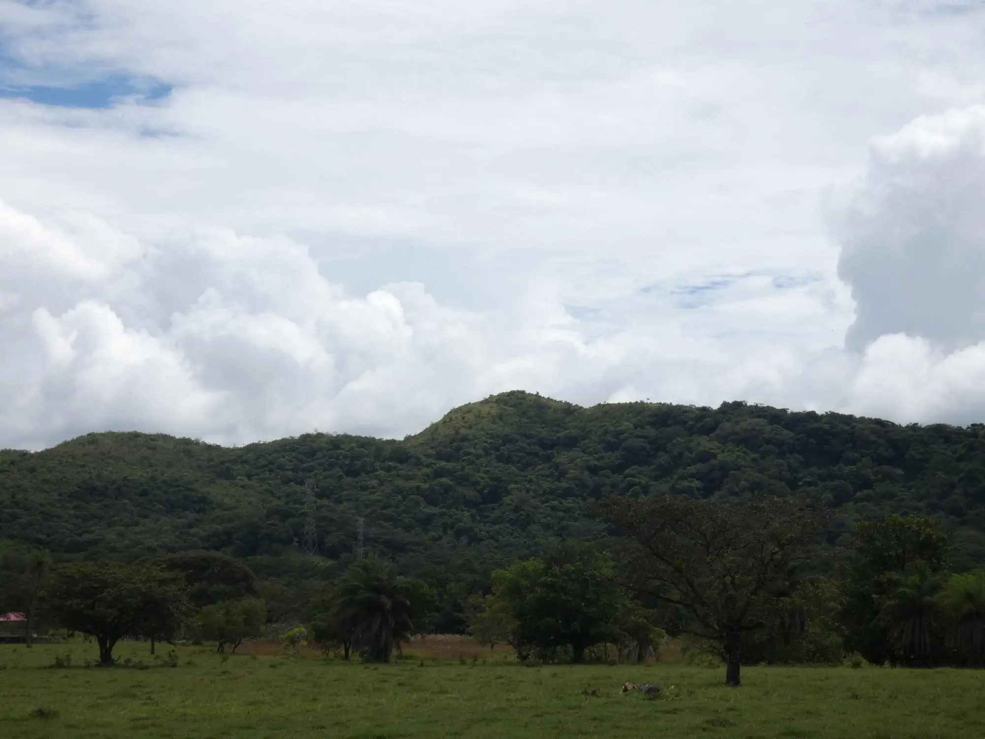 Caldera Boquete - Photo 126