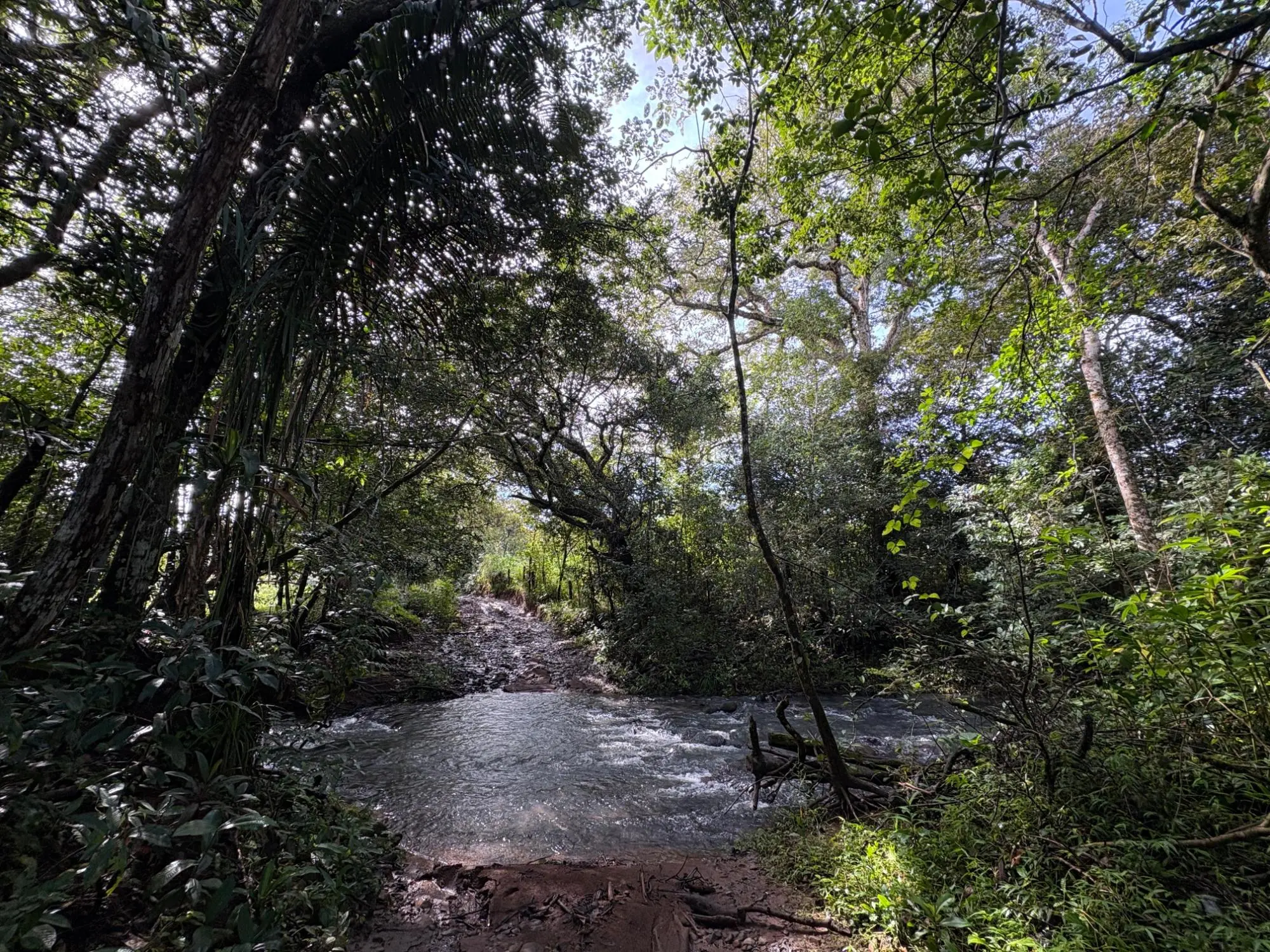 Caldera Boquete - Photo 24