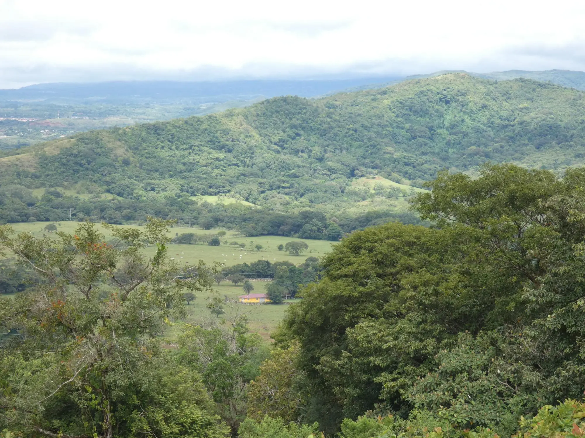 Caldera Boquete - Photo 109