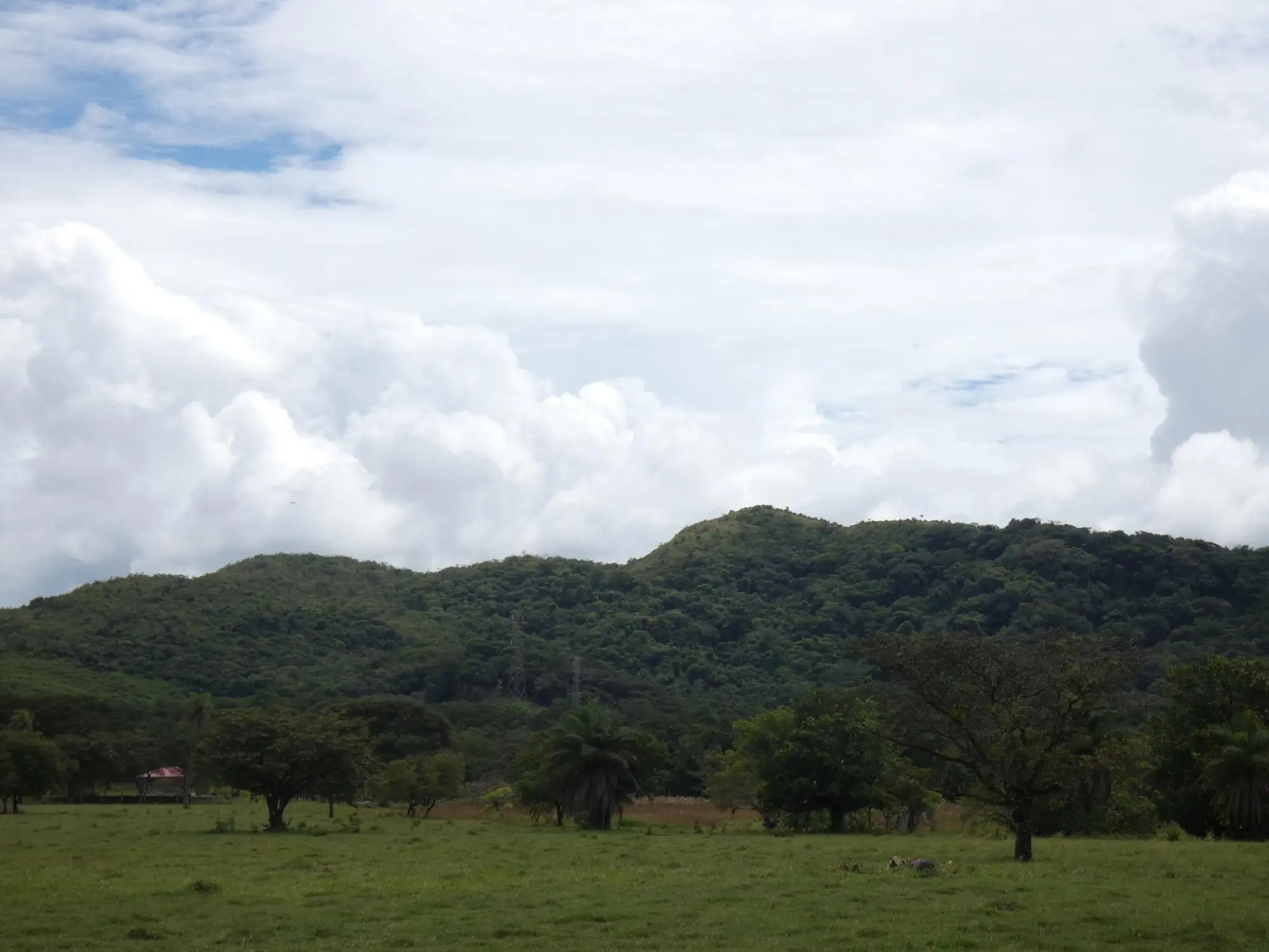 Caldera Boquete - Photo 128