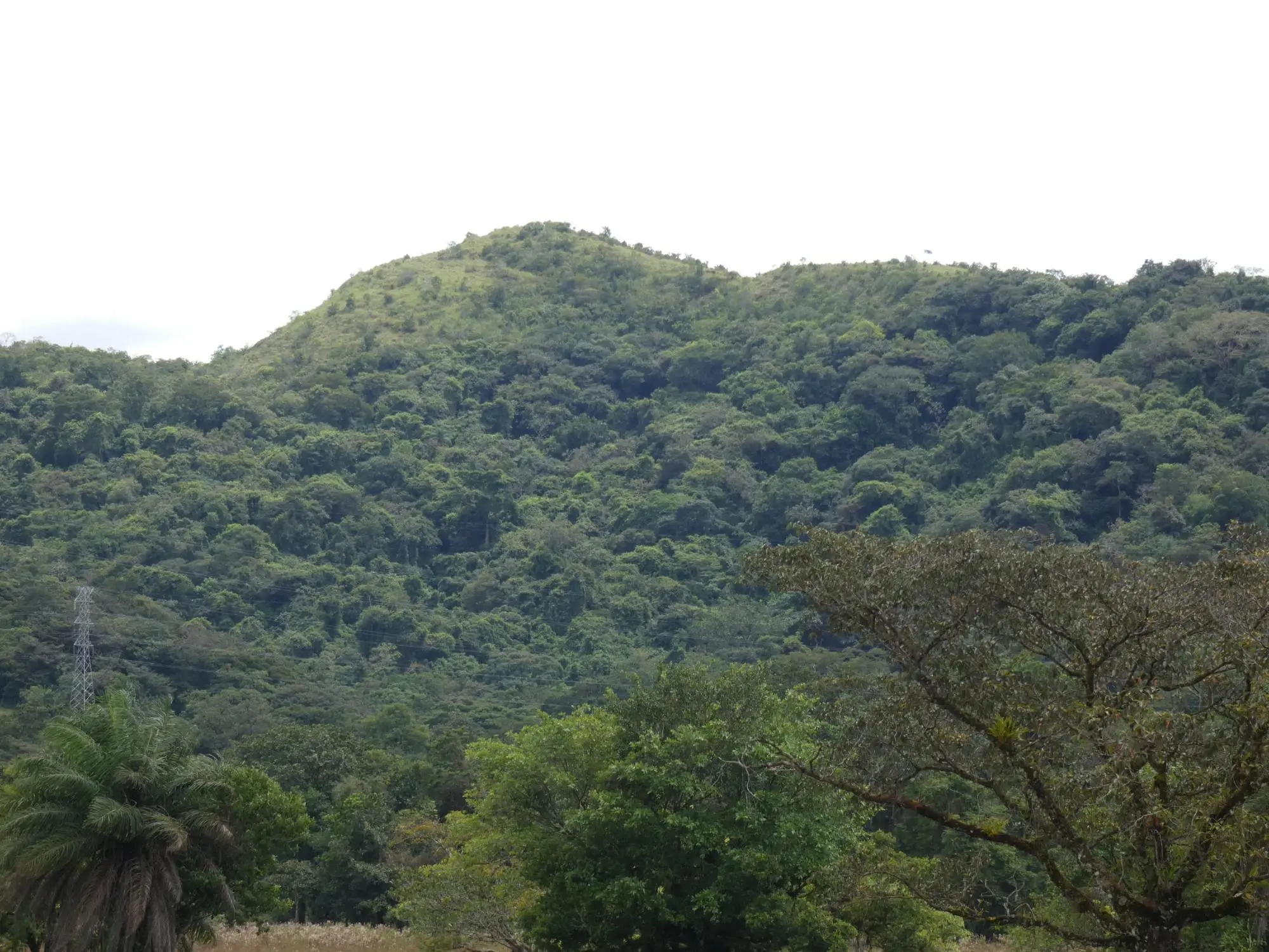 Caldera Boquete - Photo 20