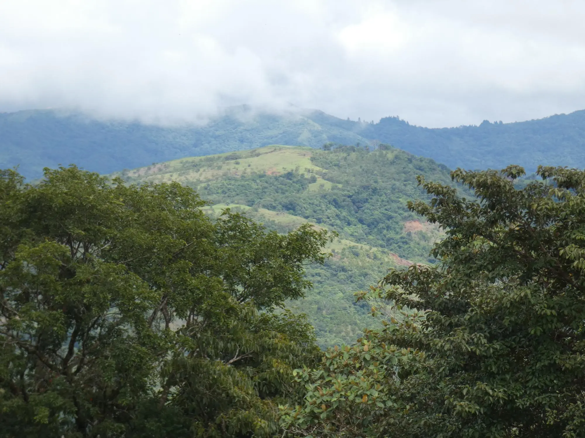 Caldera Boquete - Photo 112