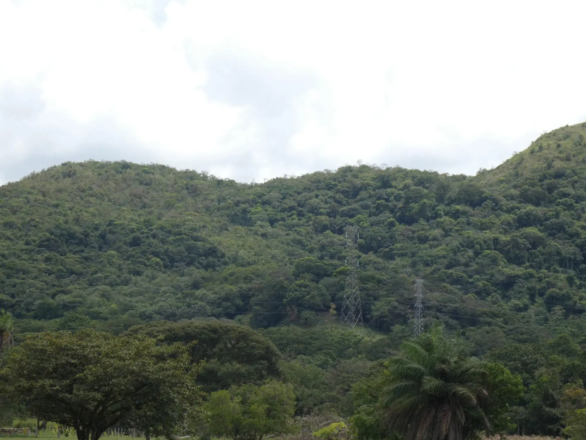 Caldera Boquete - Photo 11