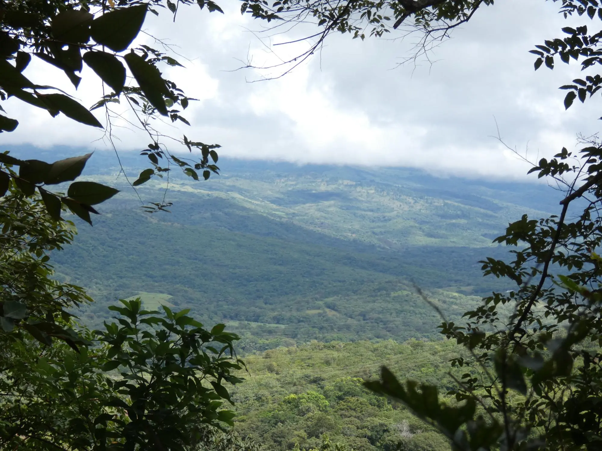 Caldera Boquete - Photo 87
