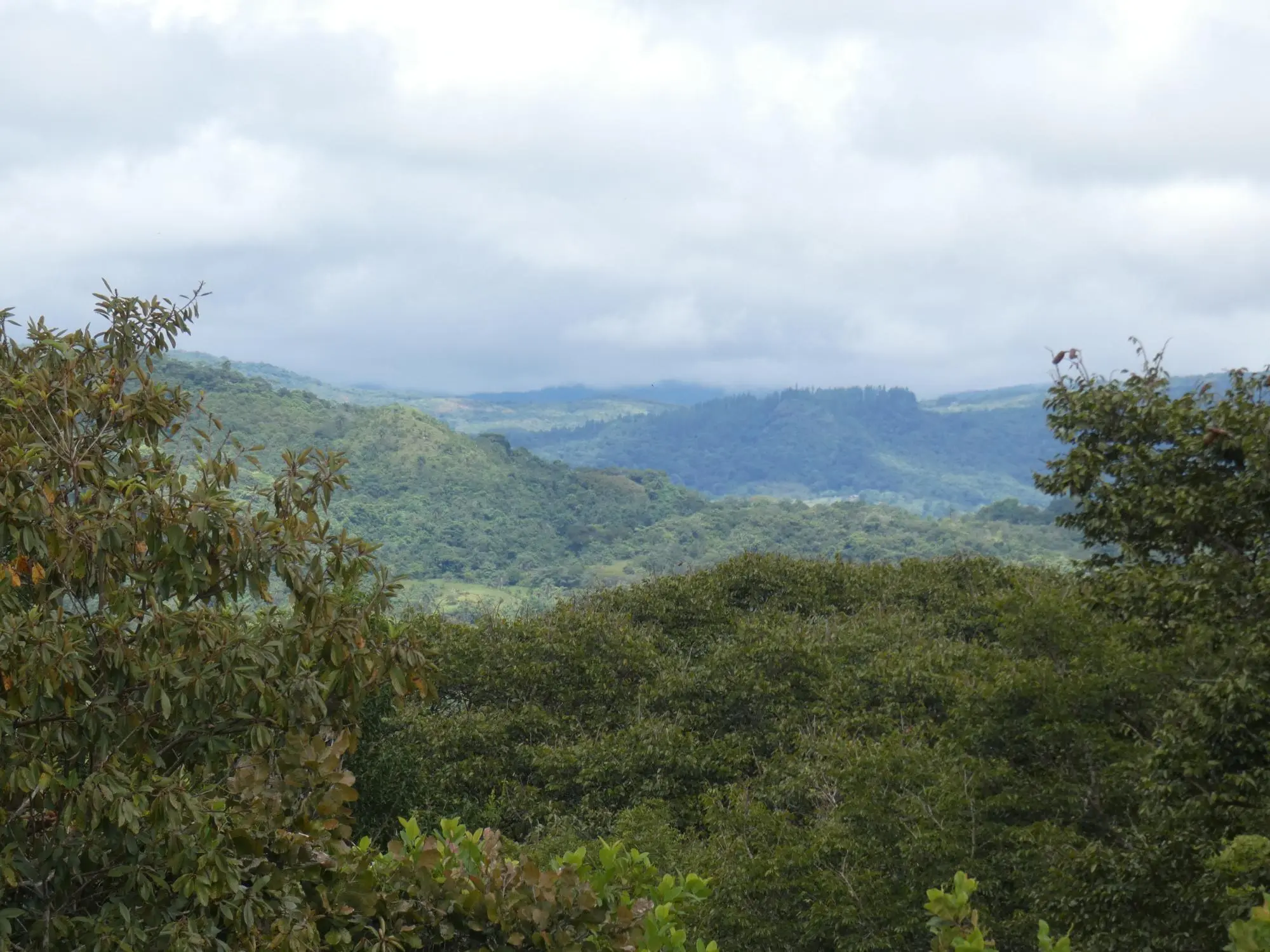 Caldera Boquete - Photo 17
