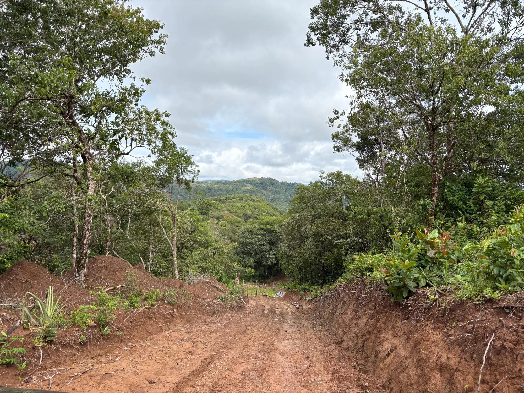 Caldera Boquete - Photo 71