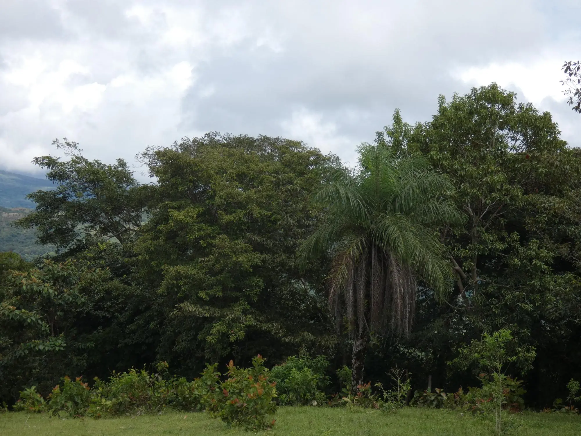 Caldera Boquete - Photo 106