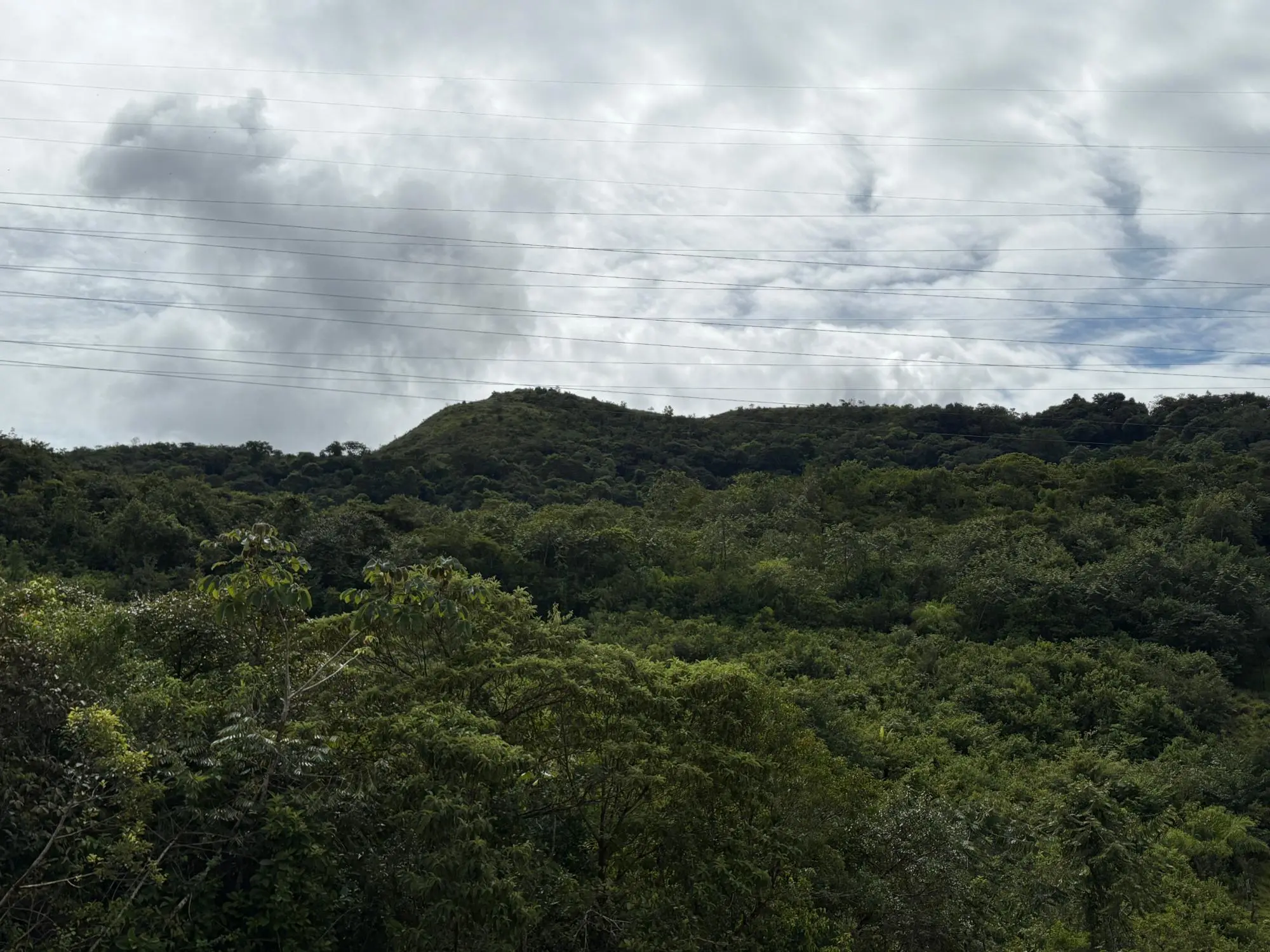 Caldera Boquete - Photo 63