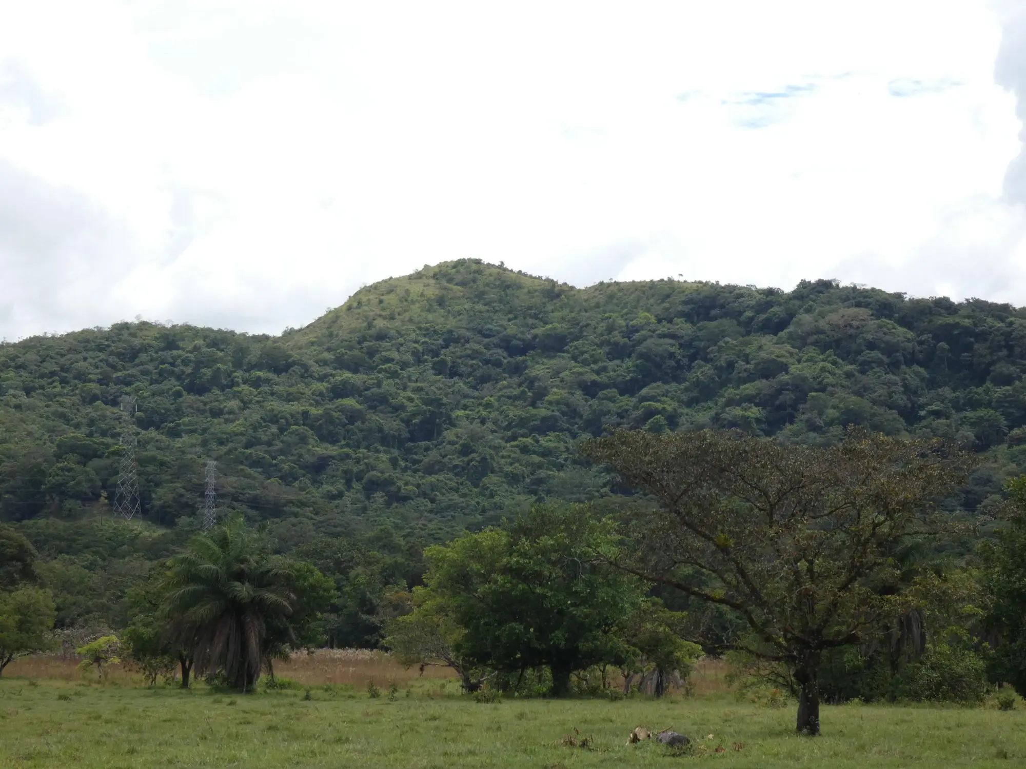 Caldera Boquete - Photo 121