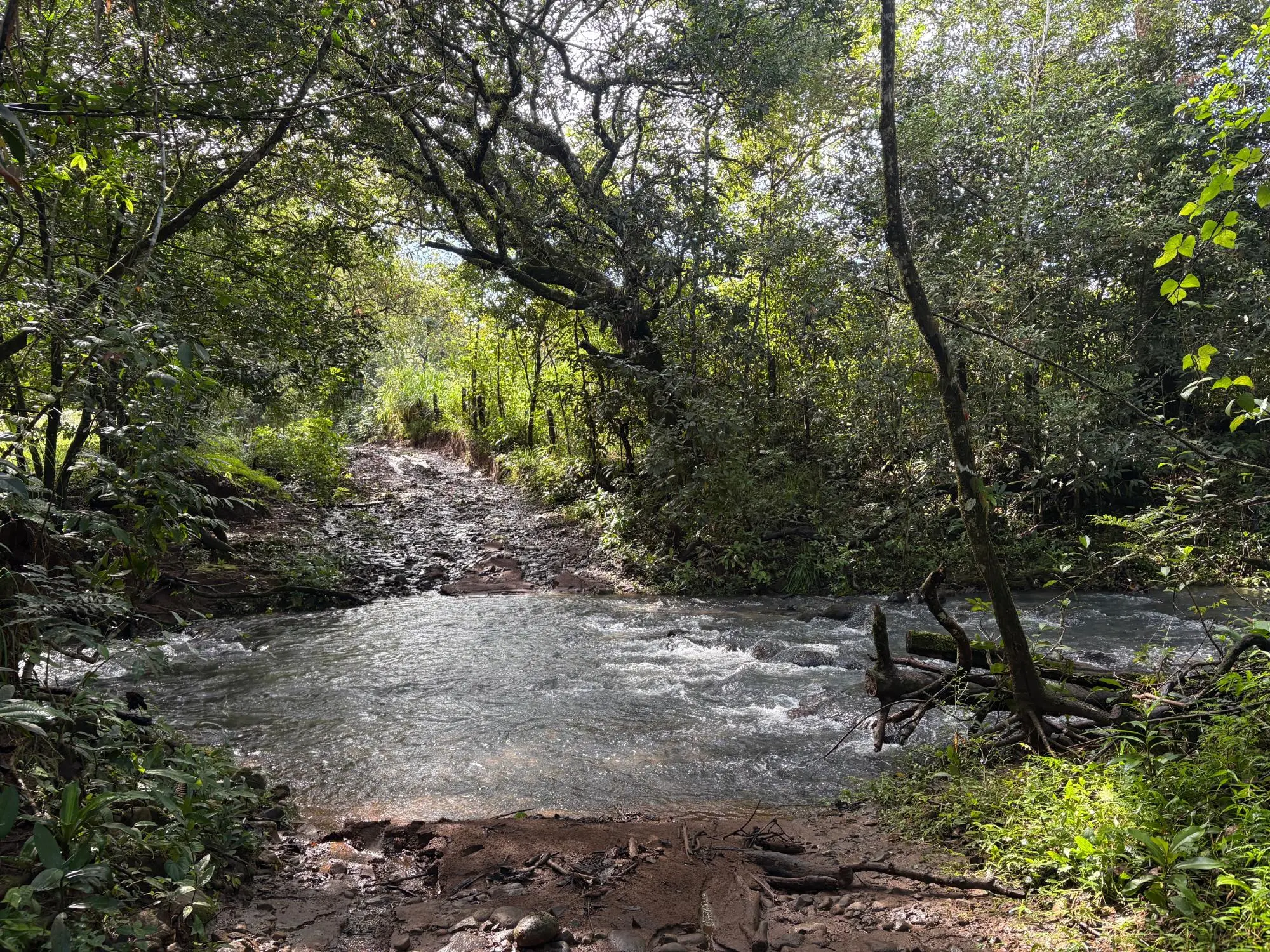 Caldera Boquete - Photo 7