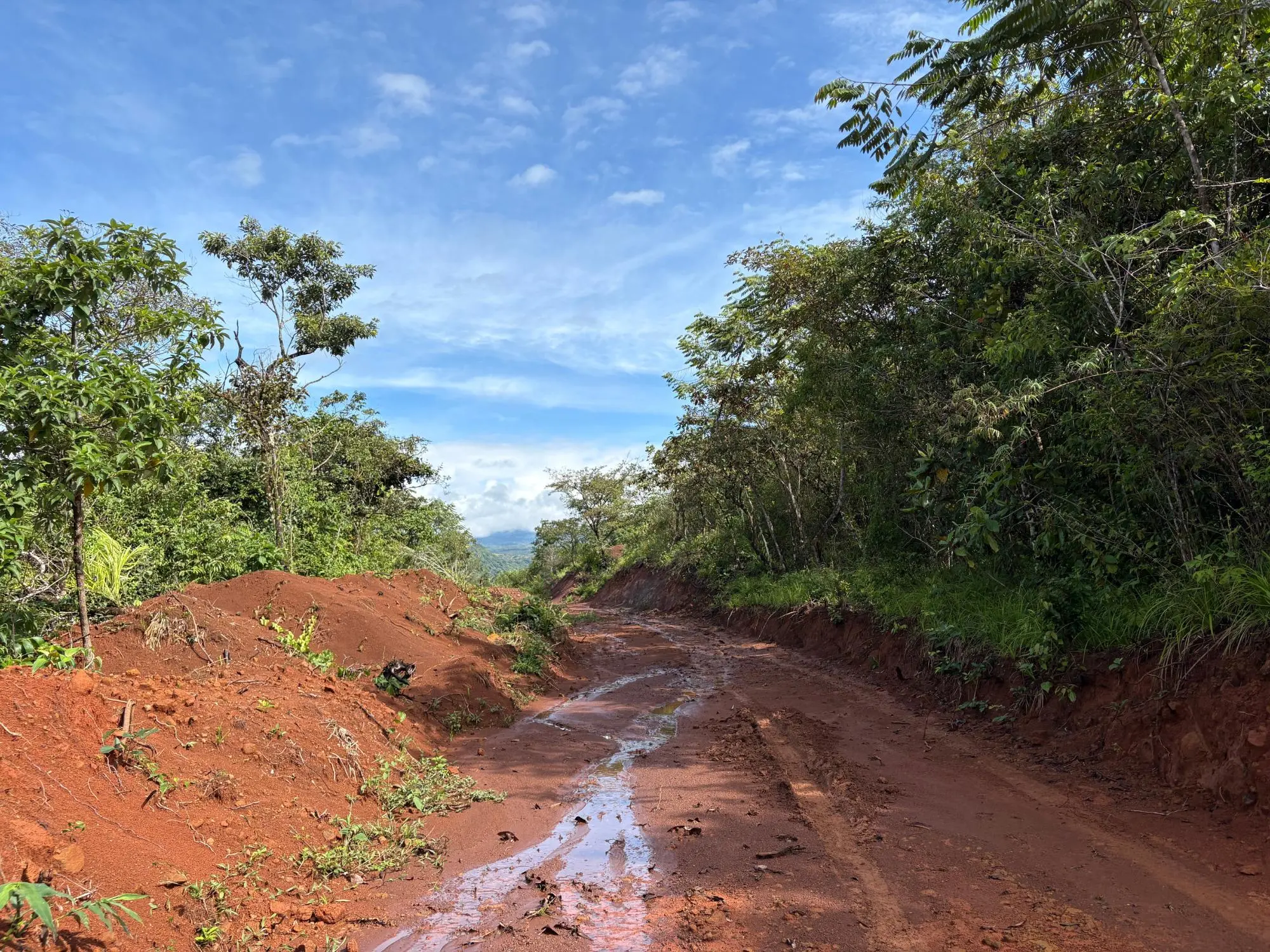 Caldera Boquete - Photo 36
