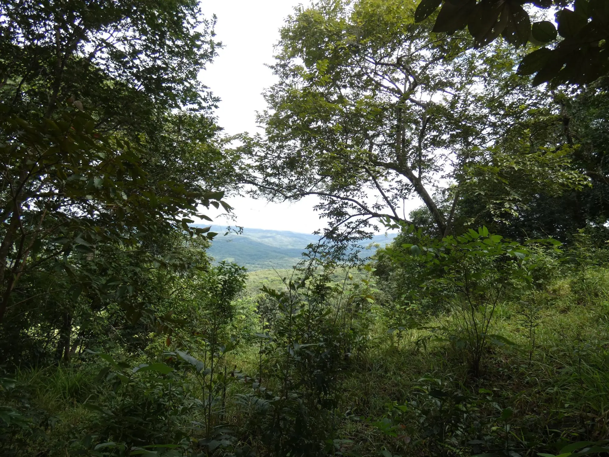 Caldera Boquete - Photo 82