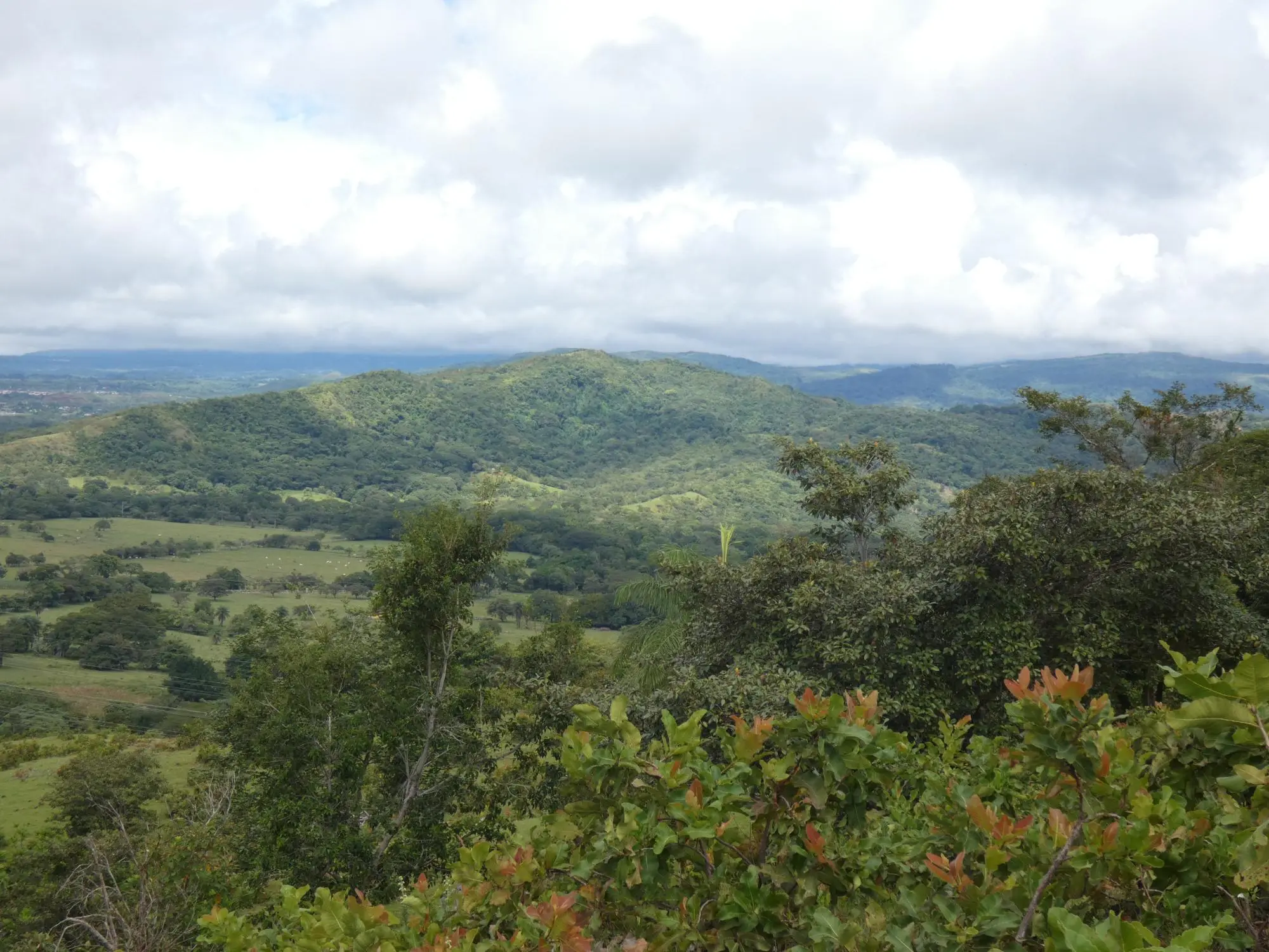 Caldera Boquete - Photo 119