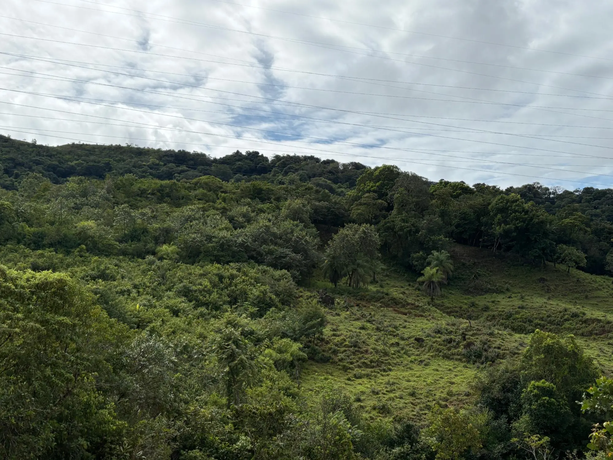 Caldera Boquete - Photo 55