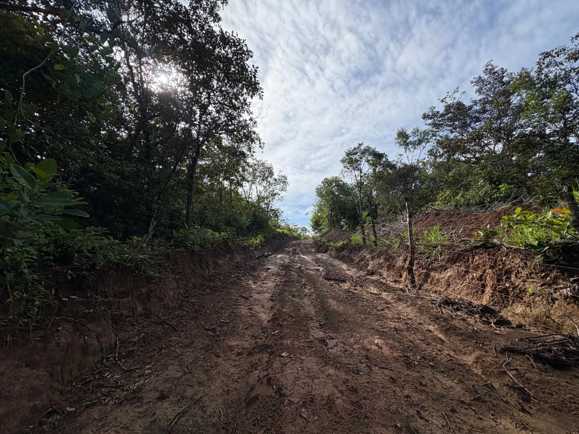 Caldera Boquete - Photo 31