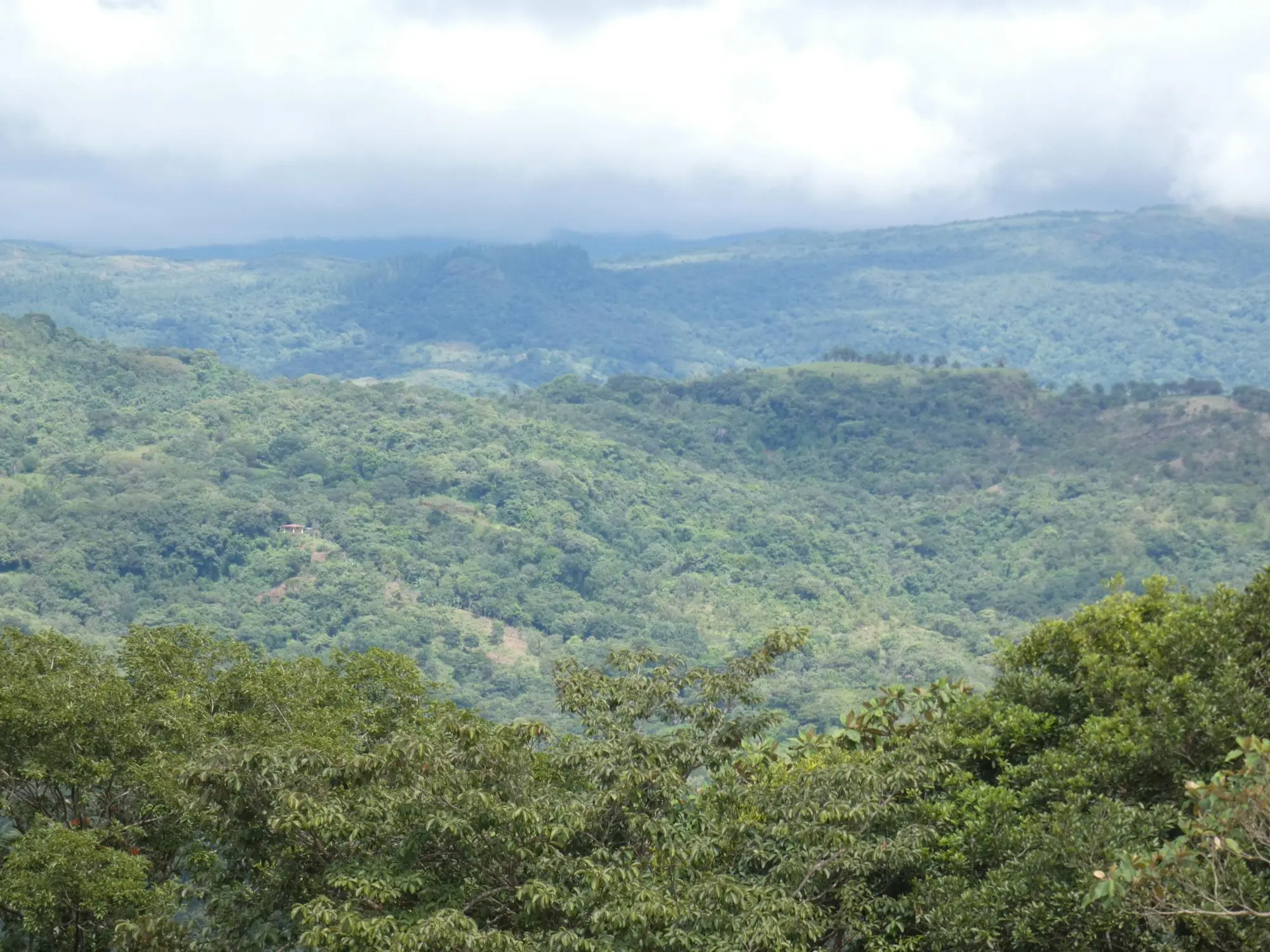 Caldera Boquete - Photo 6
