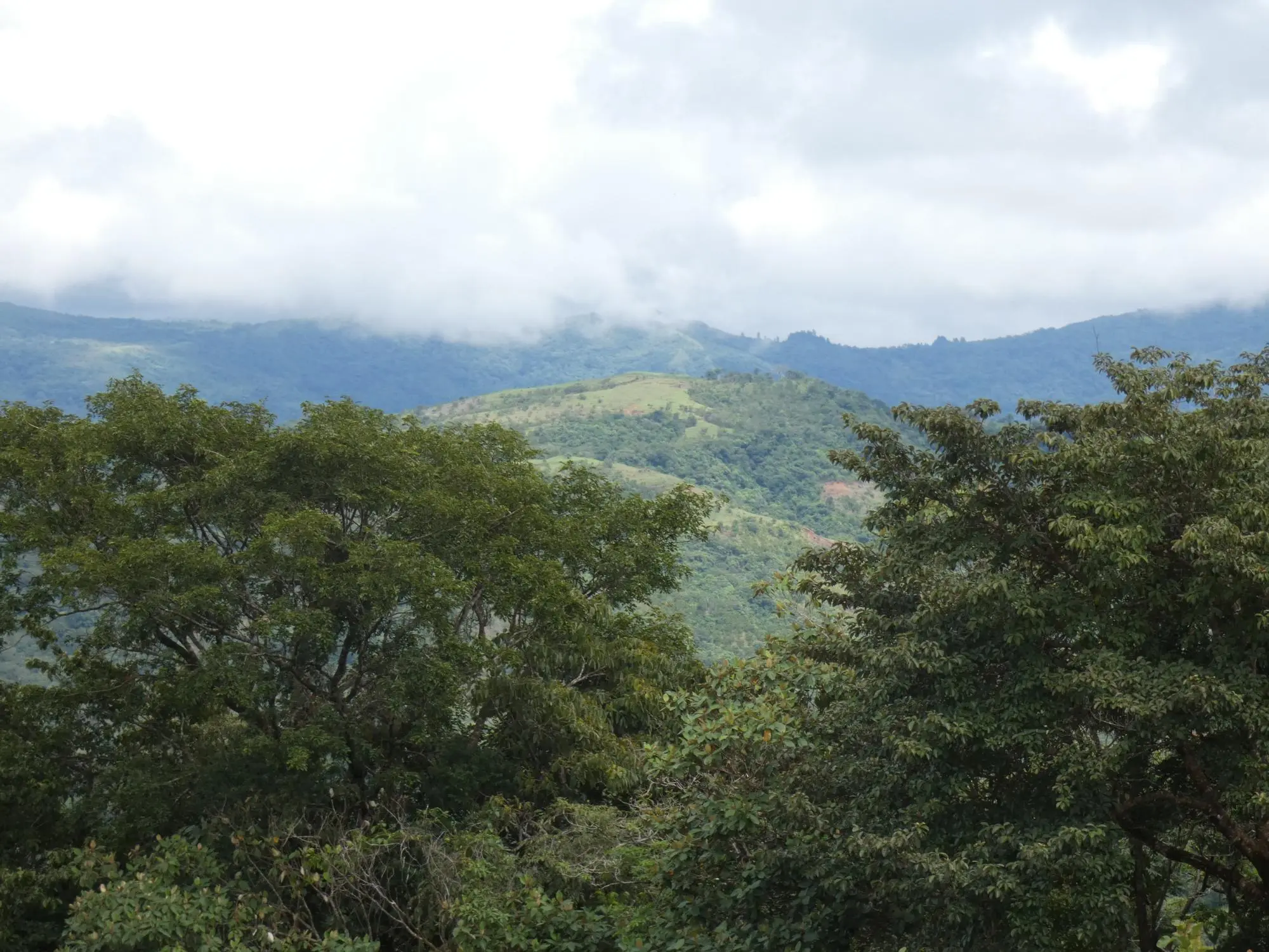 Caldera Boquete - Photo 117