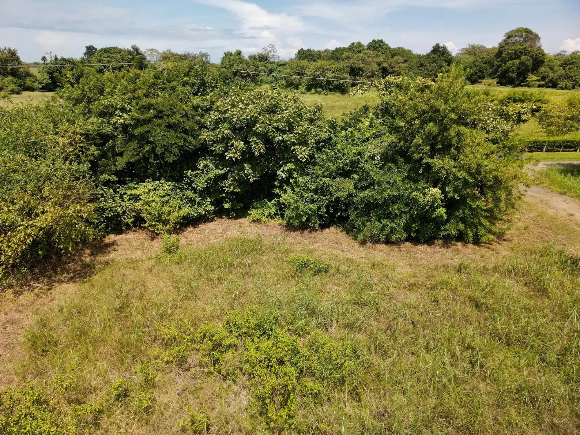 N/a Via Playa Toro #n/a - Photo 64