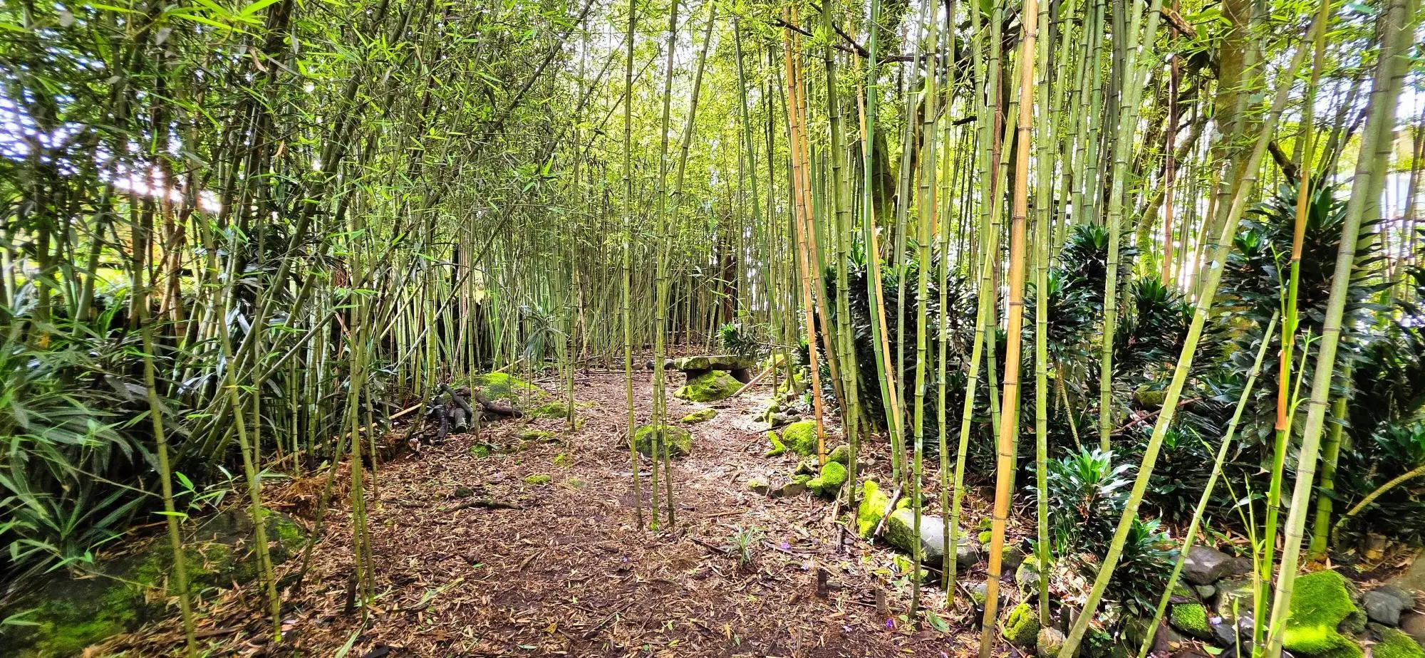 Casa En Tierras Altas Volcán - Photo 45