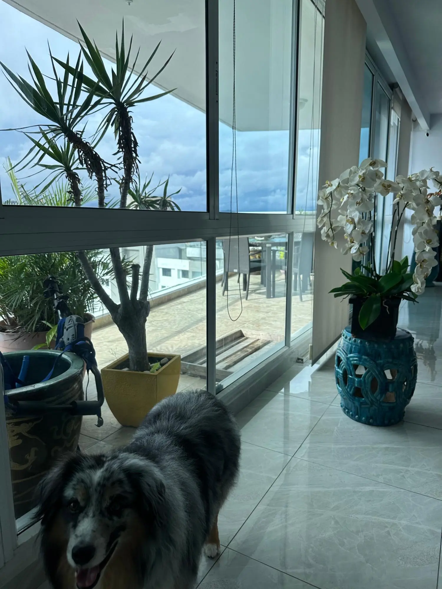 Arturo D. Motta #27a - Photo 4