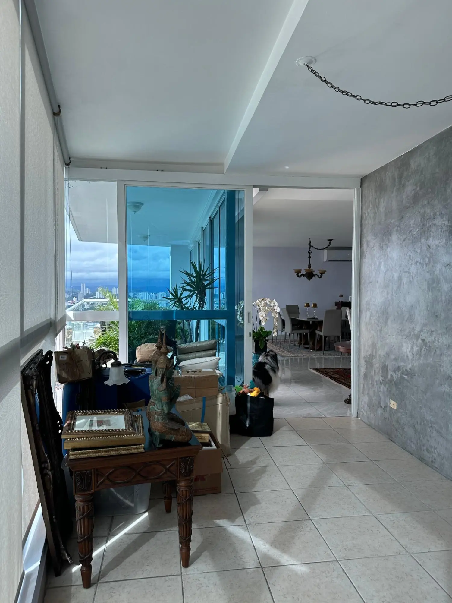 Arturo D. Motta #27a - Photo 6