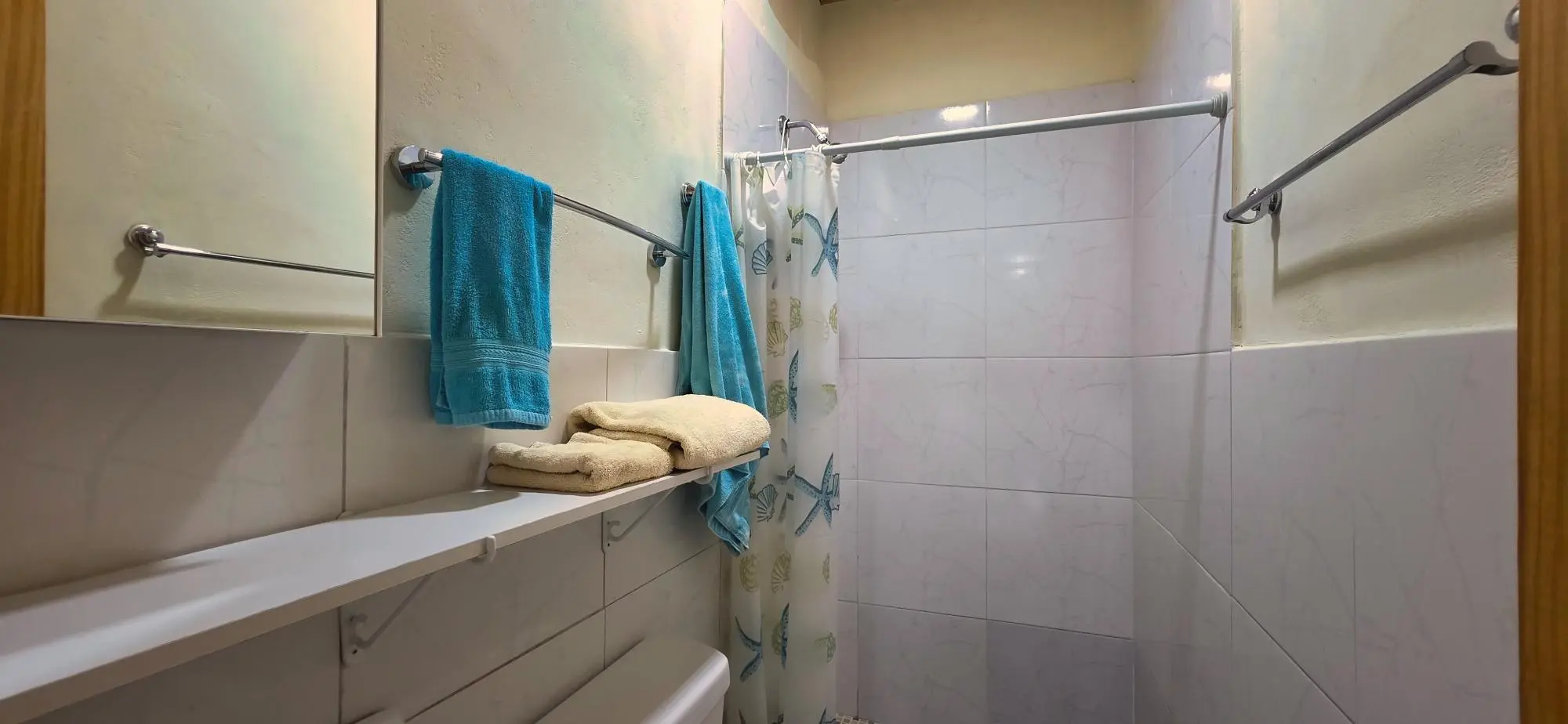 Central Volcán Home With Private Guest Apartment - Photo 21