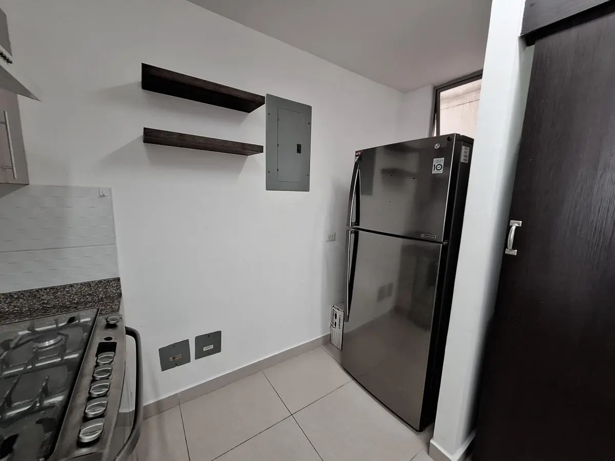 Ave.ave. Domingo Diaz Y Calle 8a, Loma Brown #4 H - Photo 16