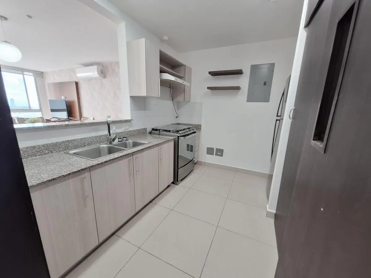 Ave.ave. Domingo Diaz Y Calle 8a, Loma Brown #4 H - Photo 13