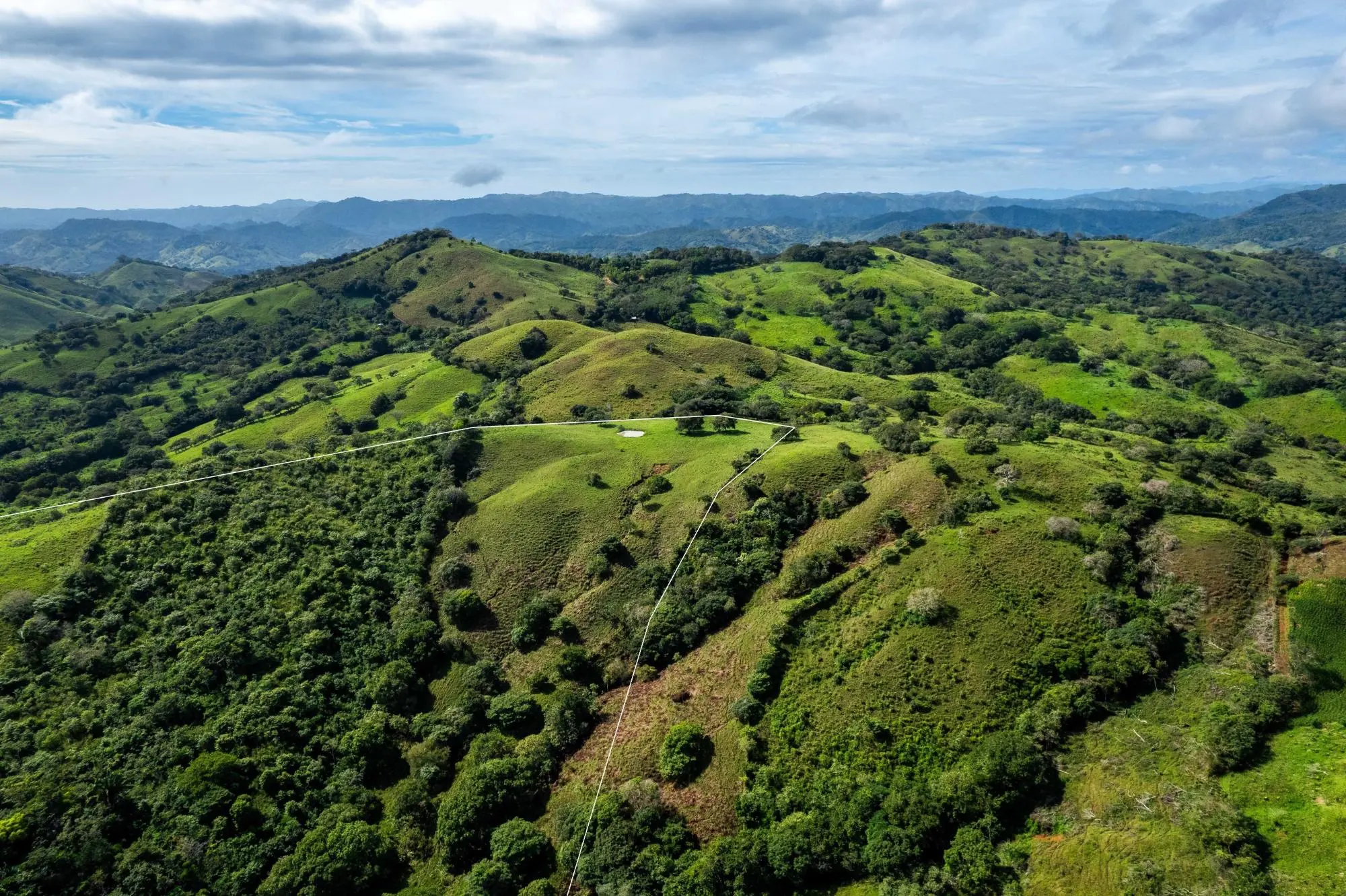 0 Los Santos, Las Tablas, Palmira - Photo 5