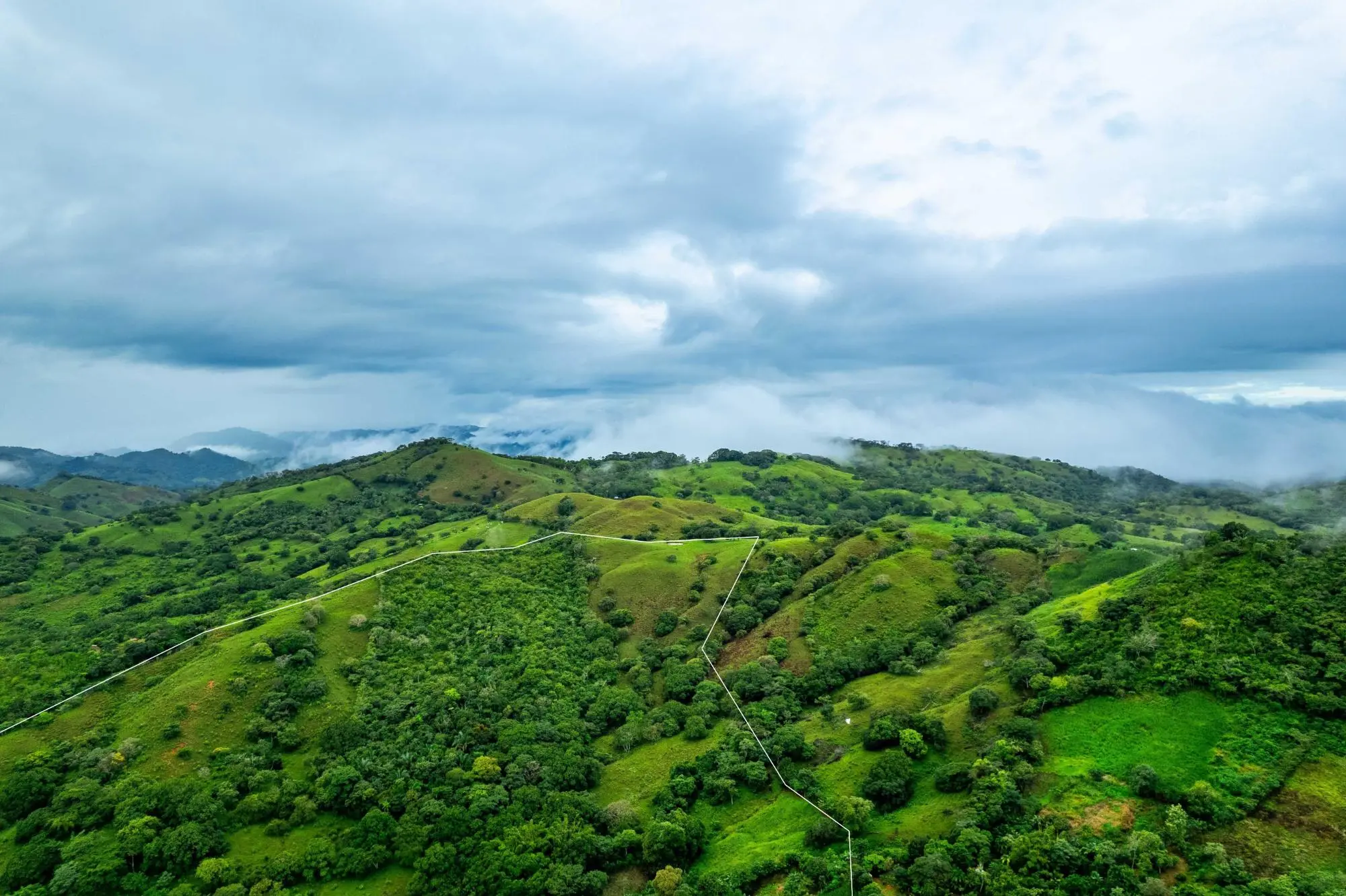 0 Los Santos, Las Tablas, Palmira - Photo 33