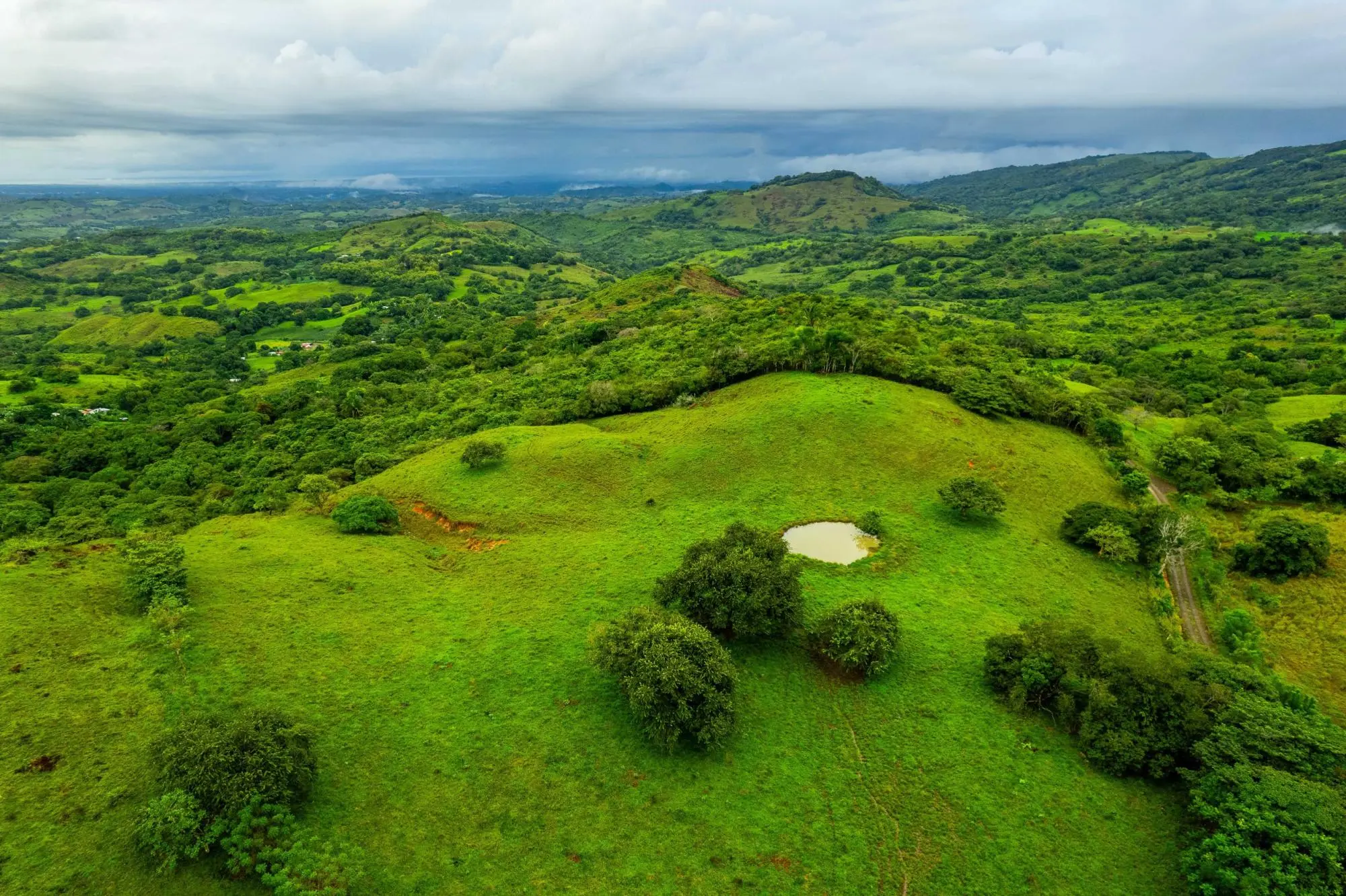 0 Los Santos, Las Tablas, Palmira - Photo 35