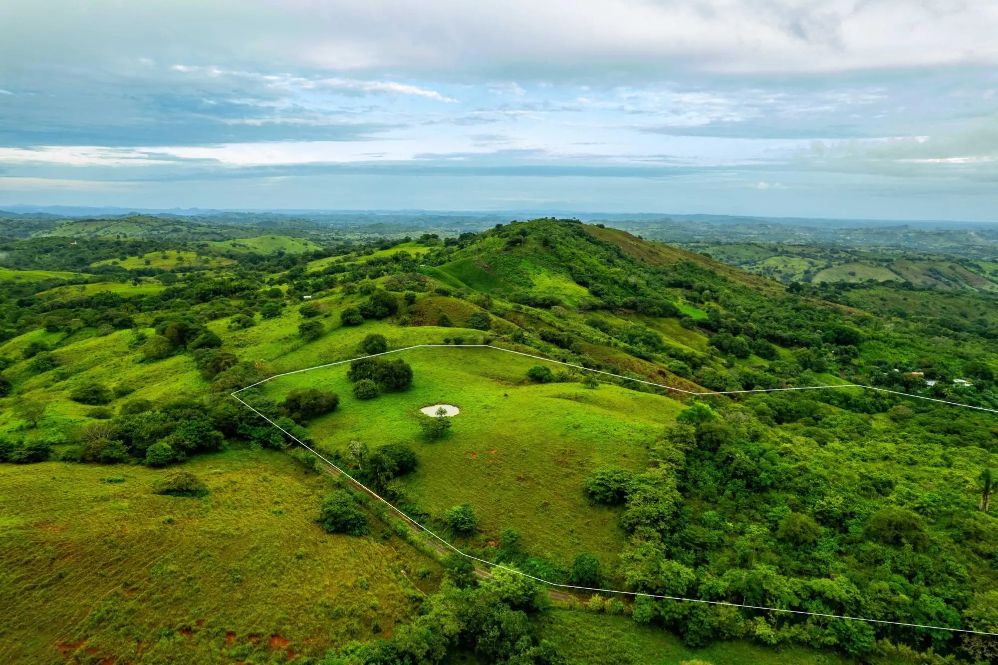 0 Los Santos, Las Tablas, Palmira - Photo 39