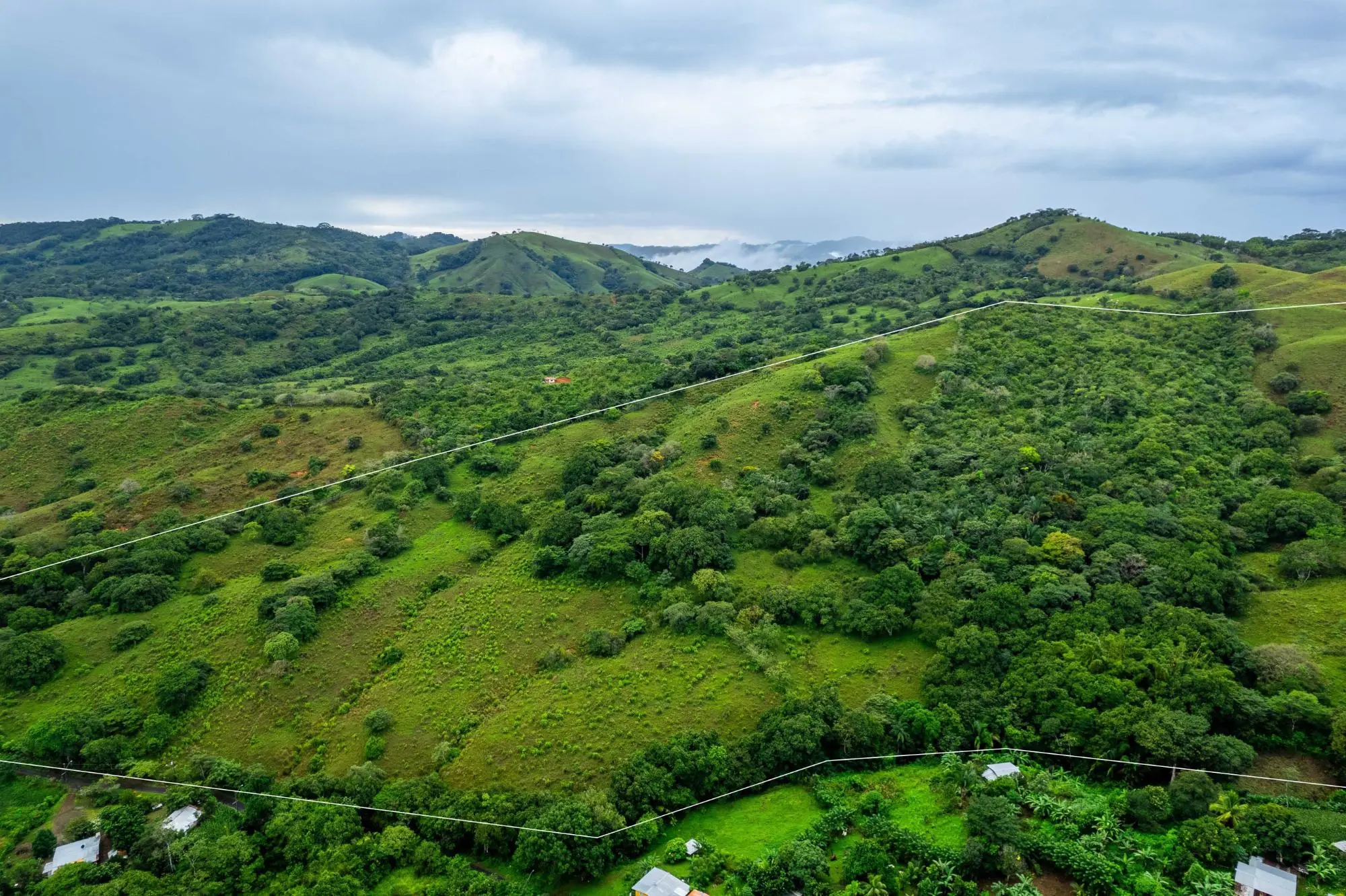 0 Los Santos, Las Tablas, Palmira - Photo 21