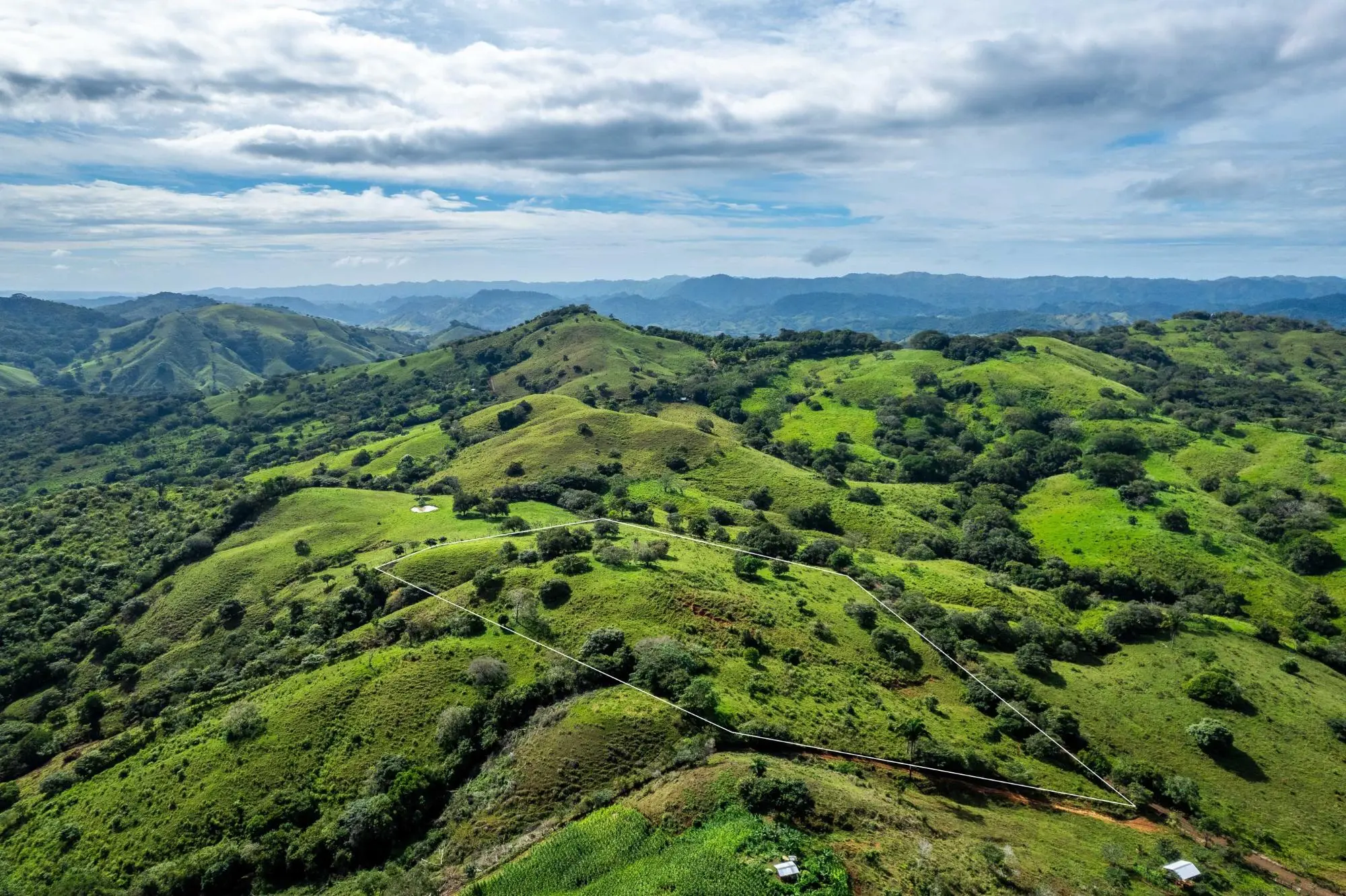 los santos, las tablas, bayano