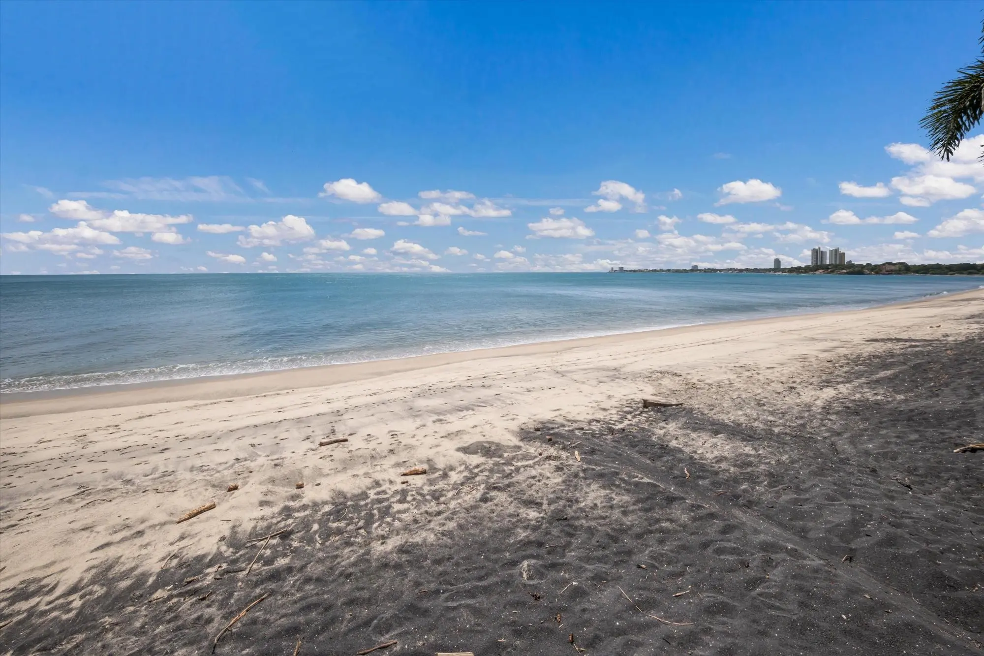 Avenida A #54 - Photo 59