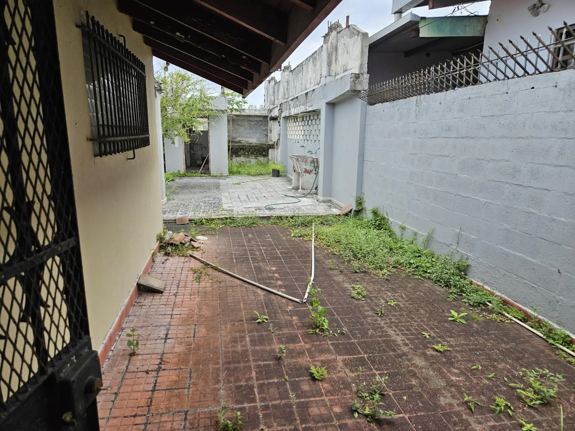 Panama Panama - Photo 12