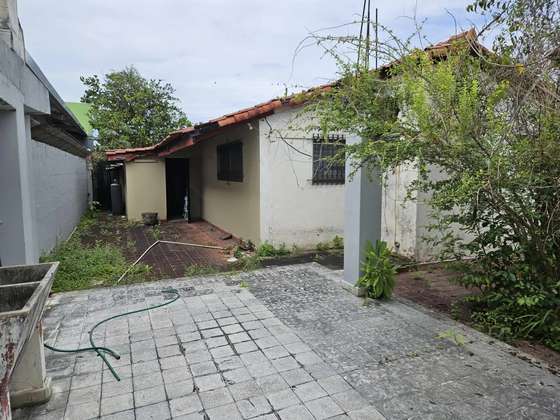 Panama Panama - Photo 10