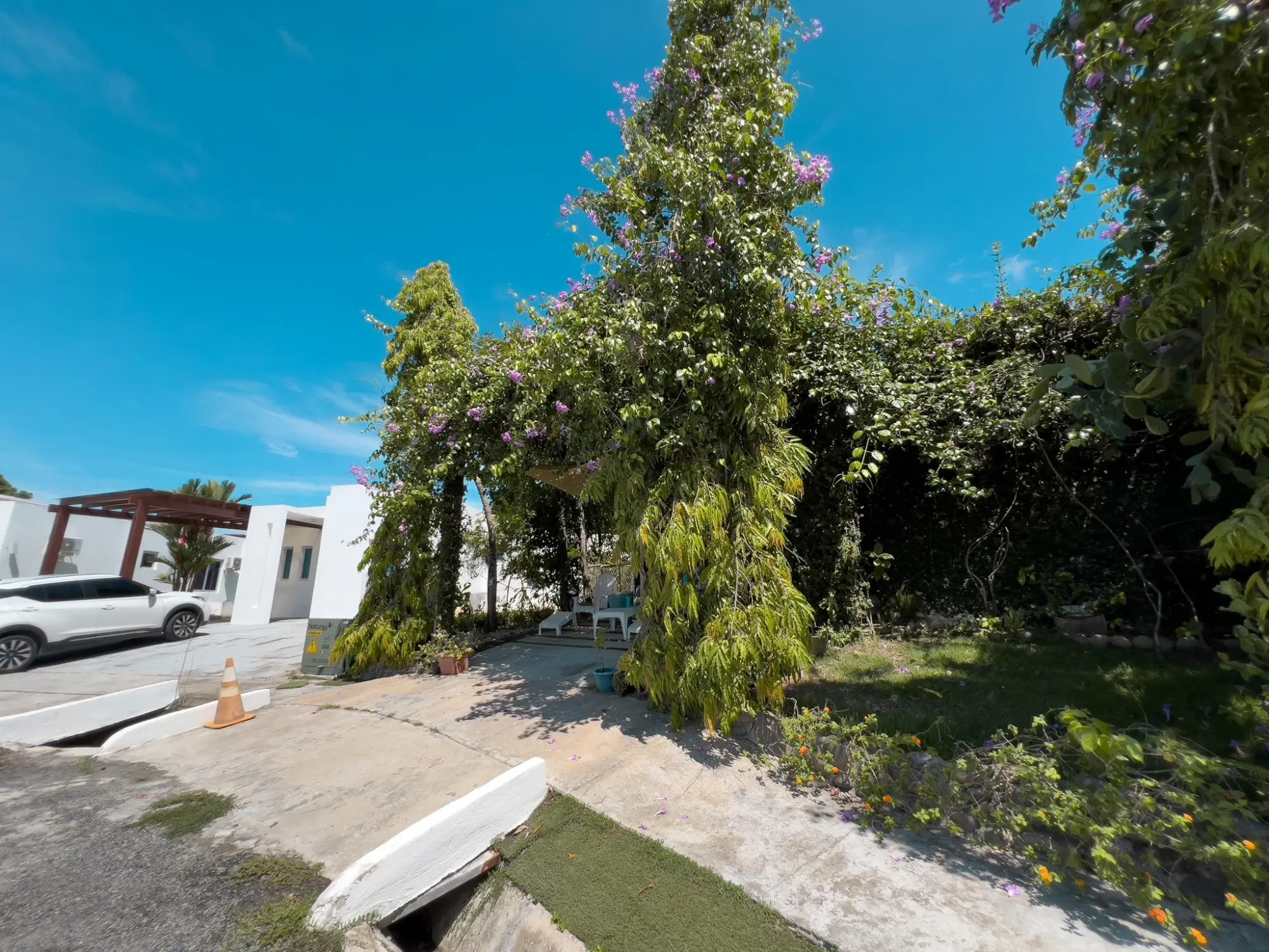 Playa Blanca - Photo 40