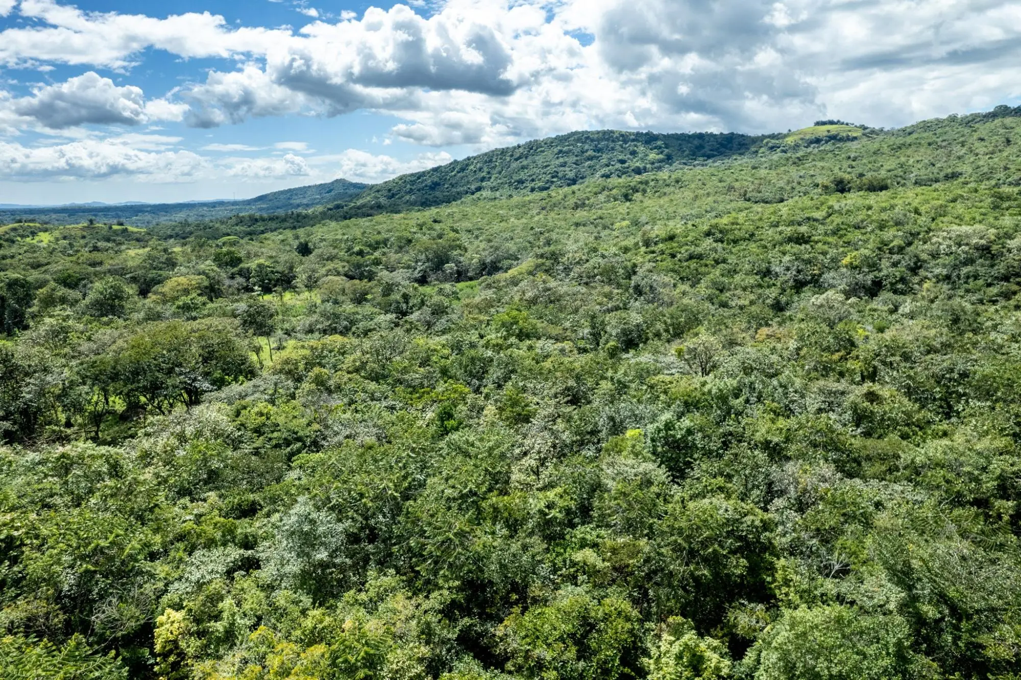 Ca. La Estrella Caldera - Photo 9