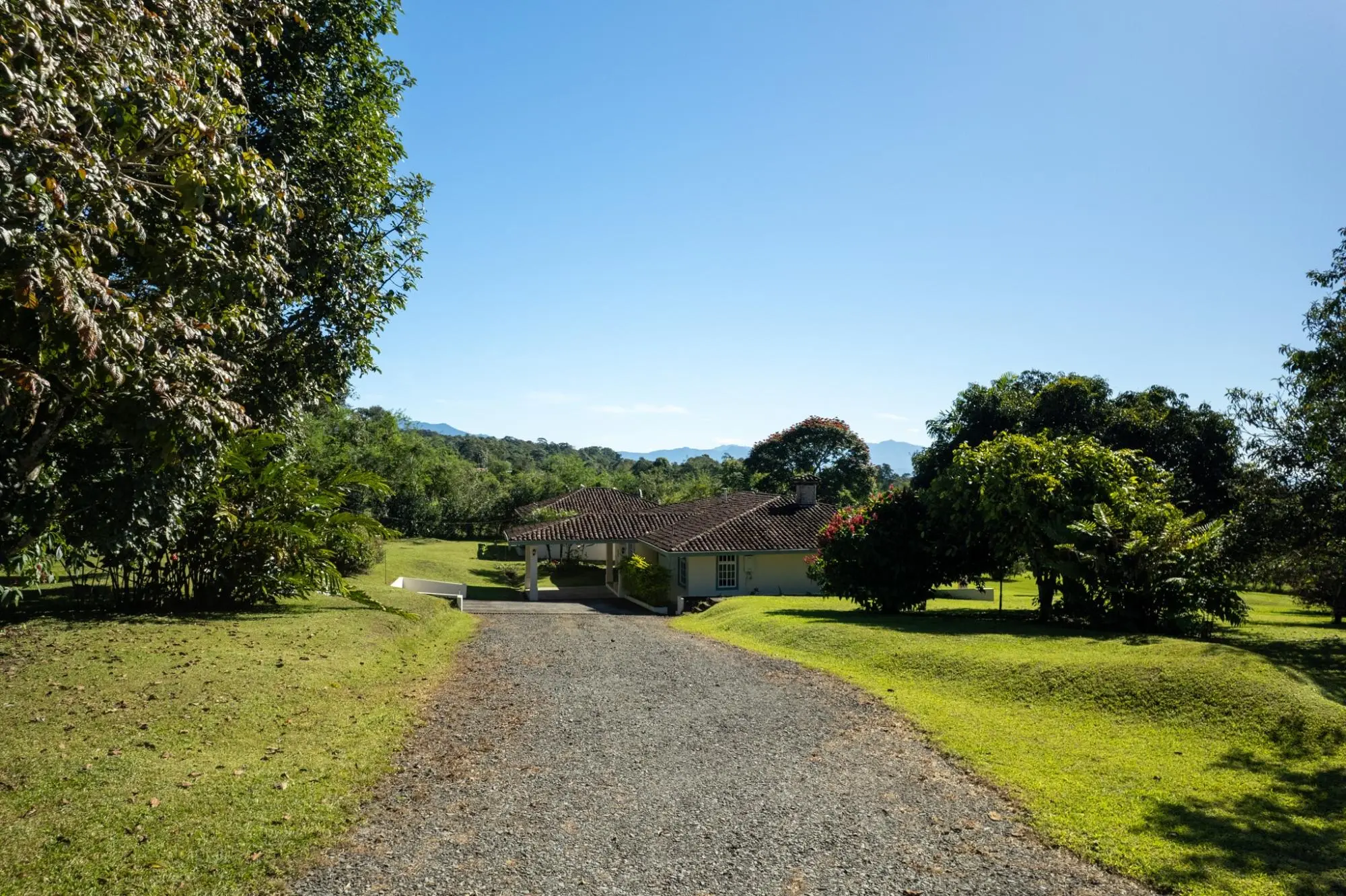 Rovira, Potrerillos - Photo 58