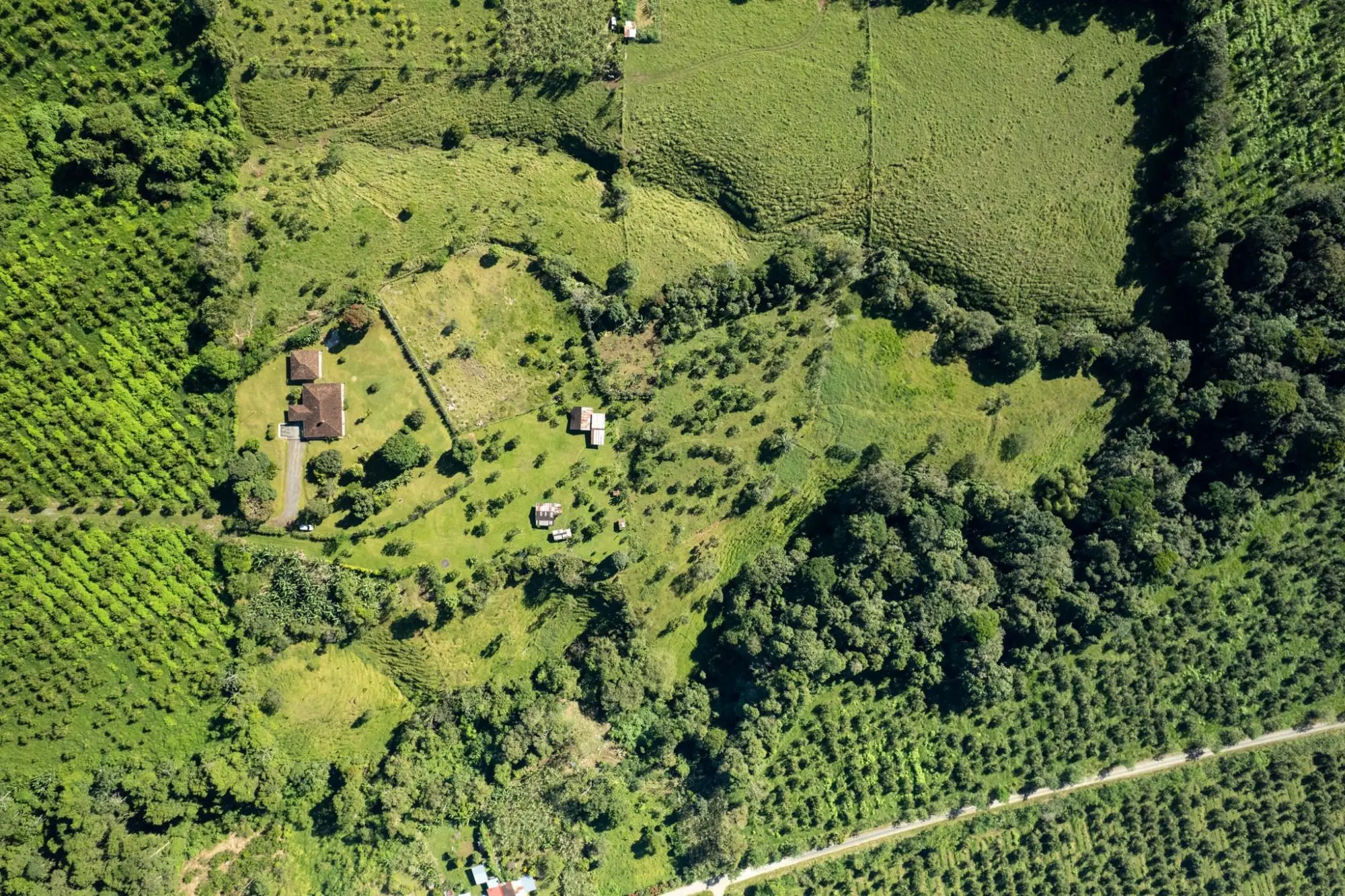 Rovira, Potrerillos - Photo 66