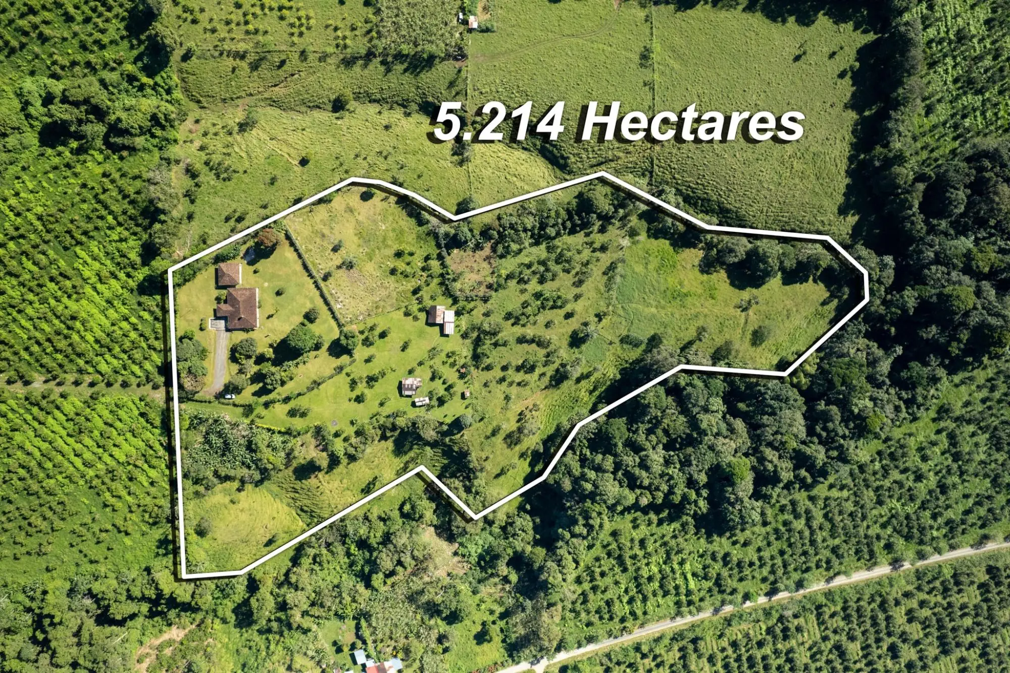 Rovira, Potrerillos - Photo 63