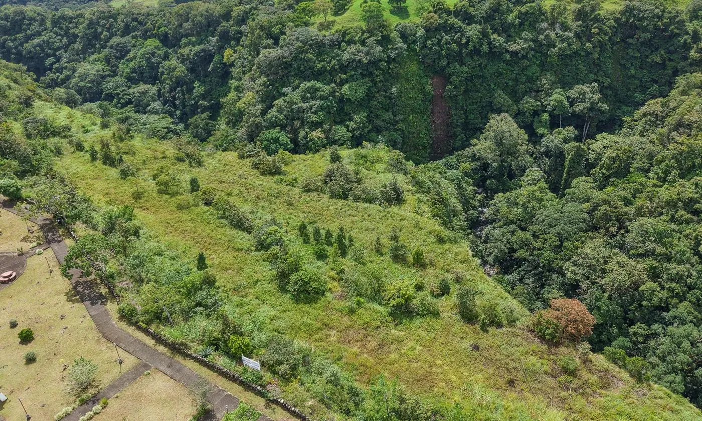 Welcoming Home In Oriana, Alto Boquete - Photo 59
