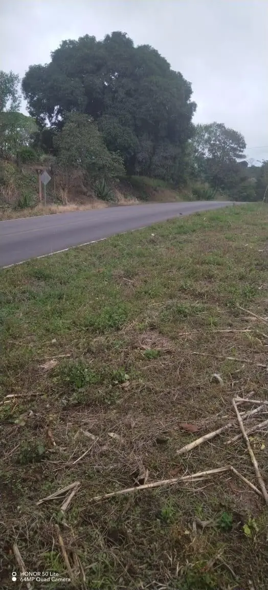 El Palmarito, Monte Lirio, Renacimiento, Chiriqui - Photo 7