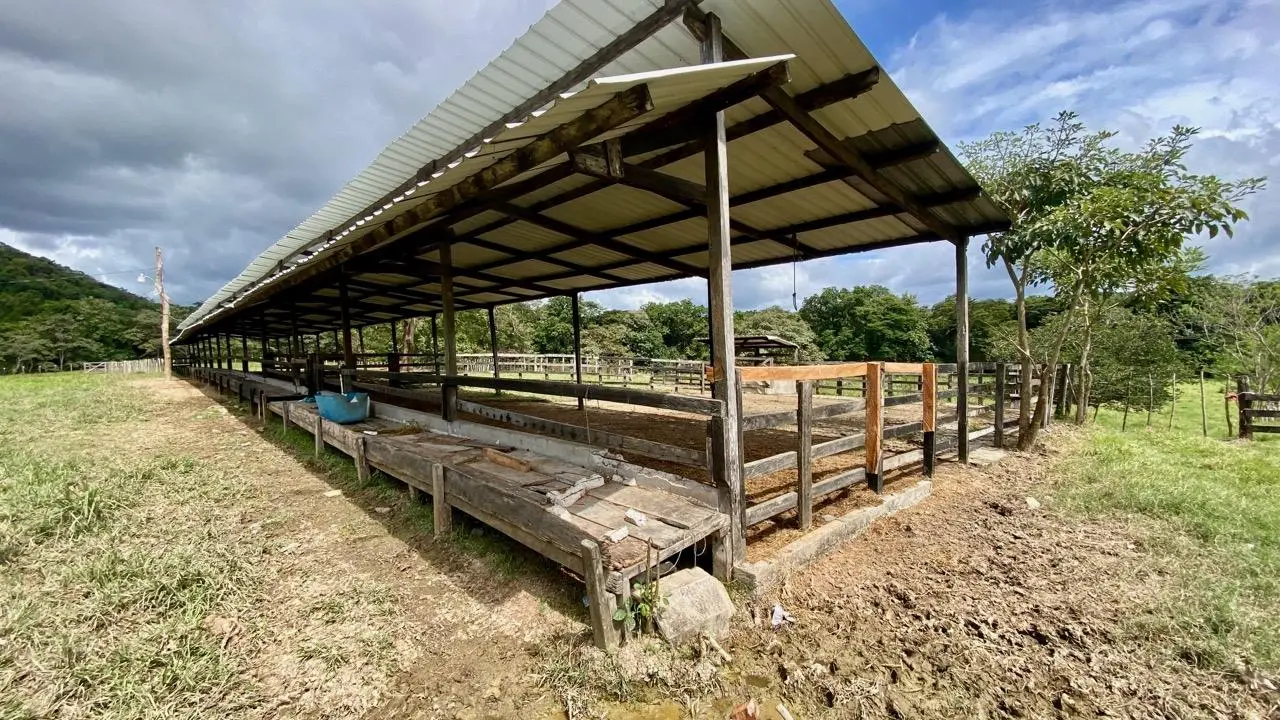 La Pintada Secondary Road ##1 - Photo 60