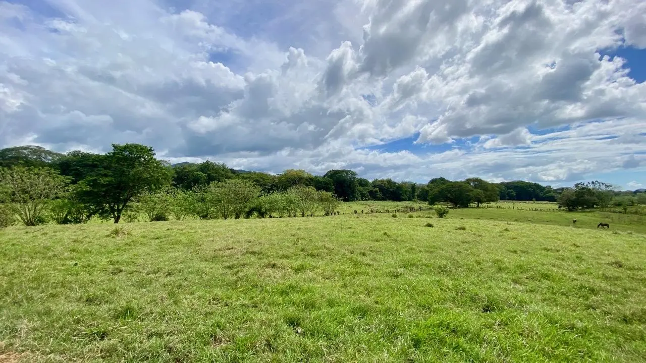 La Pintada Secondary Road ##1 - Photo 58