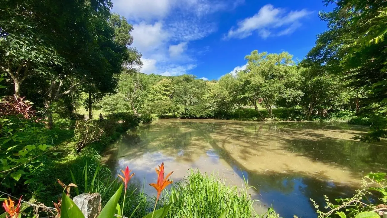 La Pintada Secondary Road ##1 - Photo 15