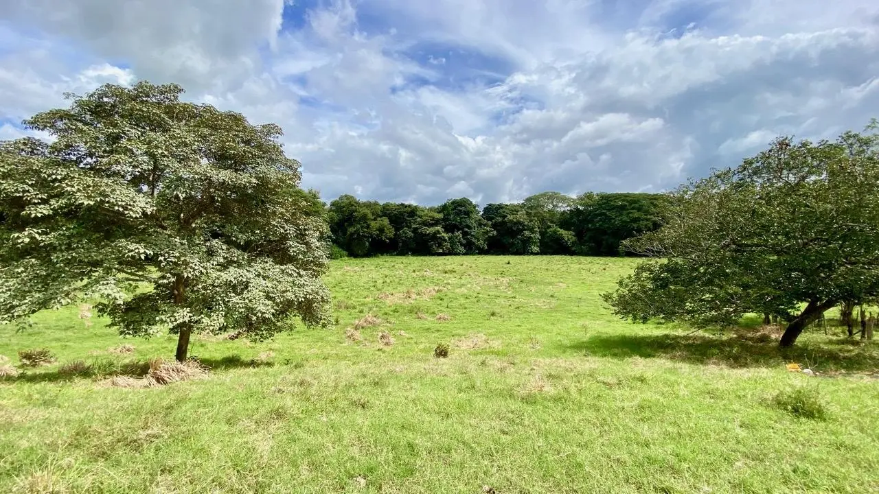 La Pintada Secondary Road ##1 - Photo 63