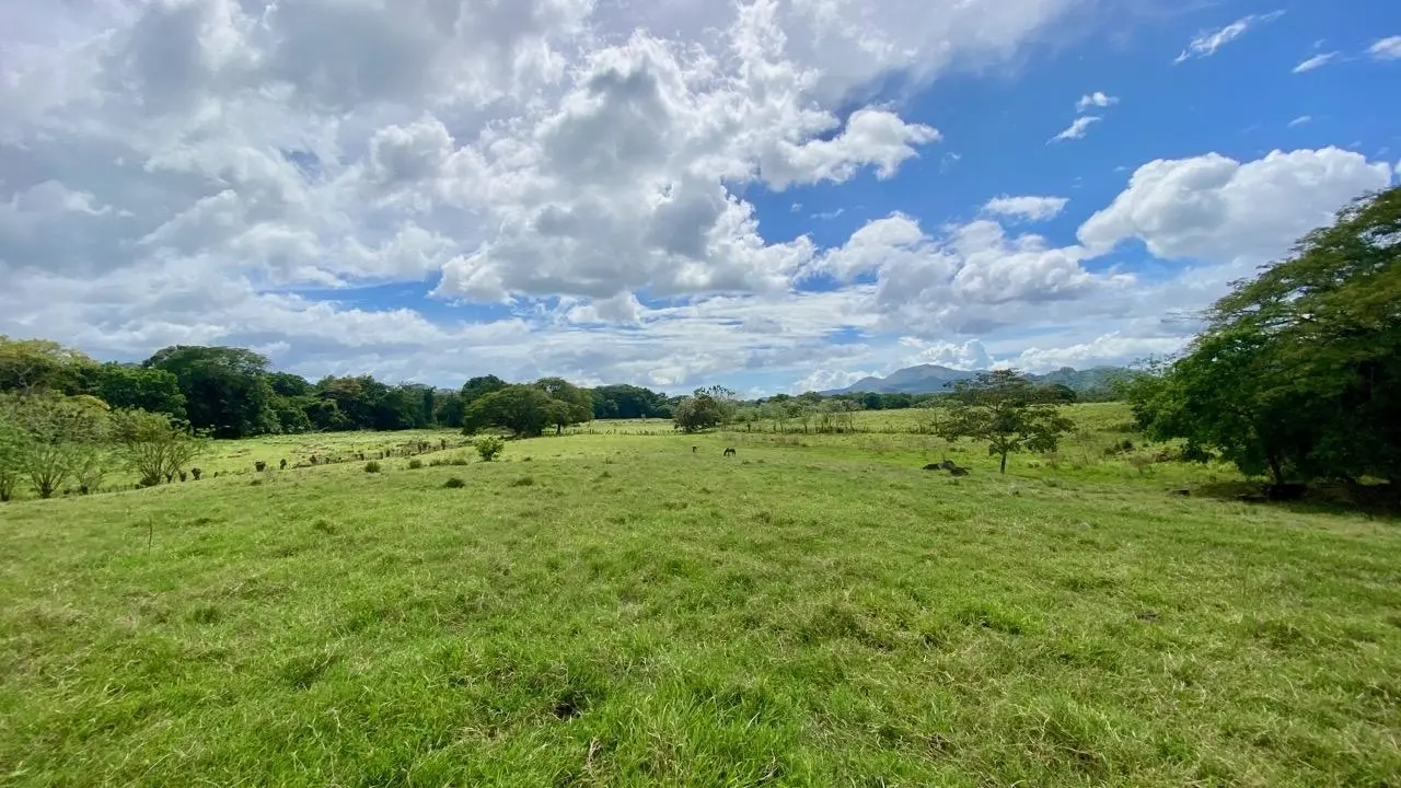 La Pintada Secondary Road ##1 - Photo 55