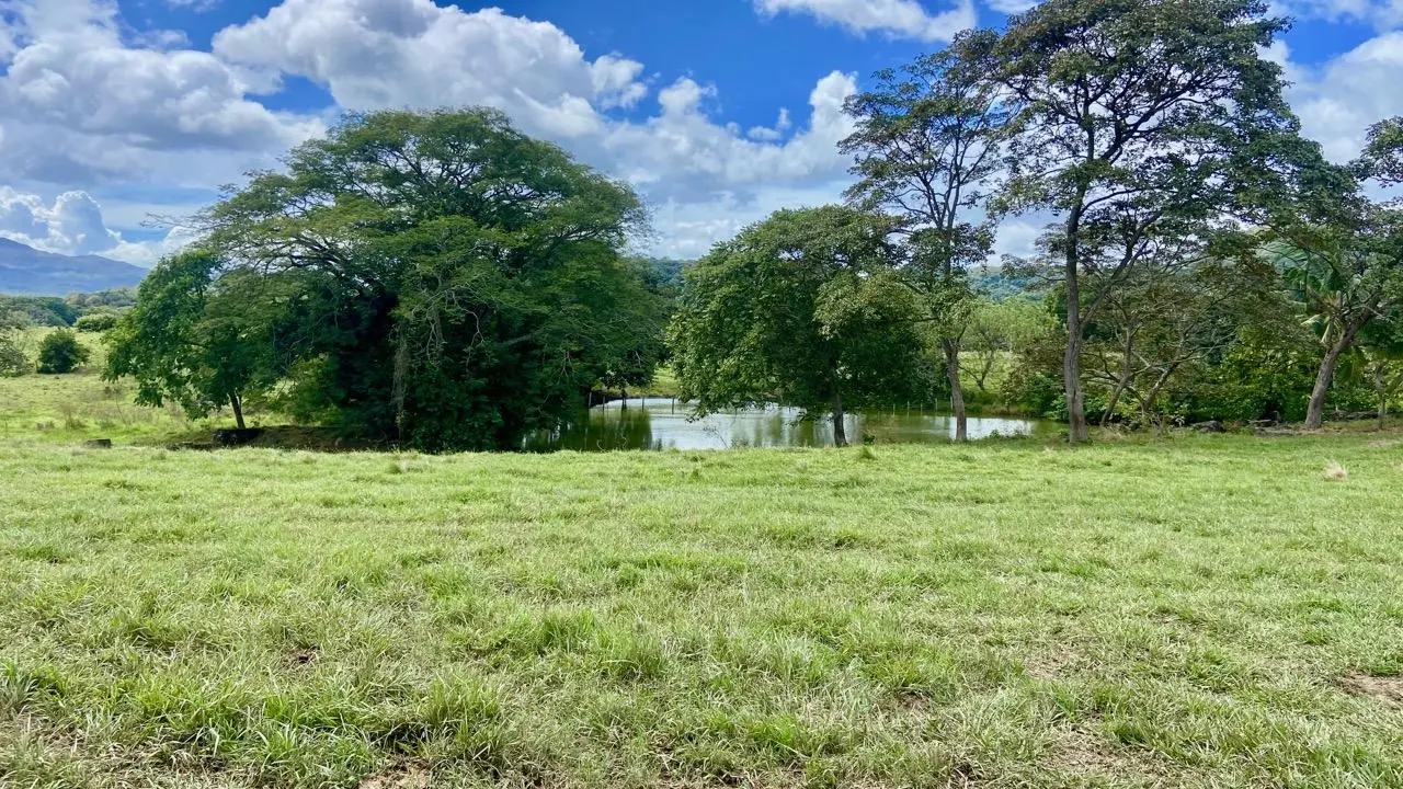 La Pintada Secondary Road ##1 - Photo 61